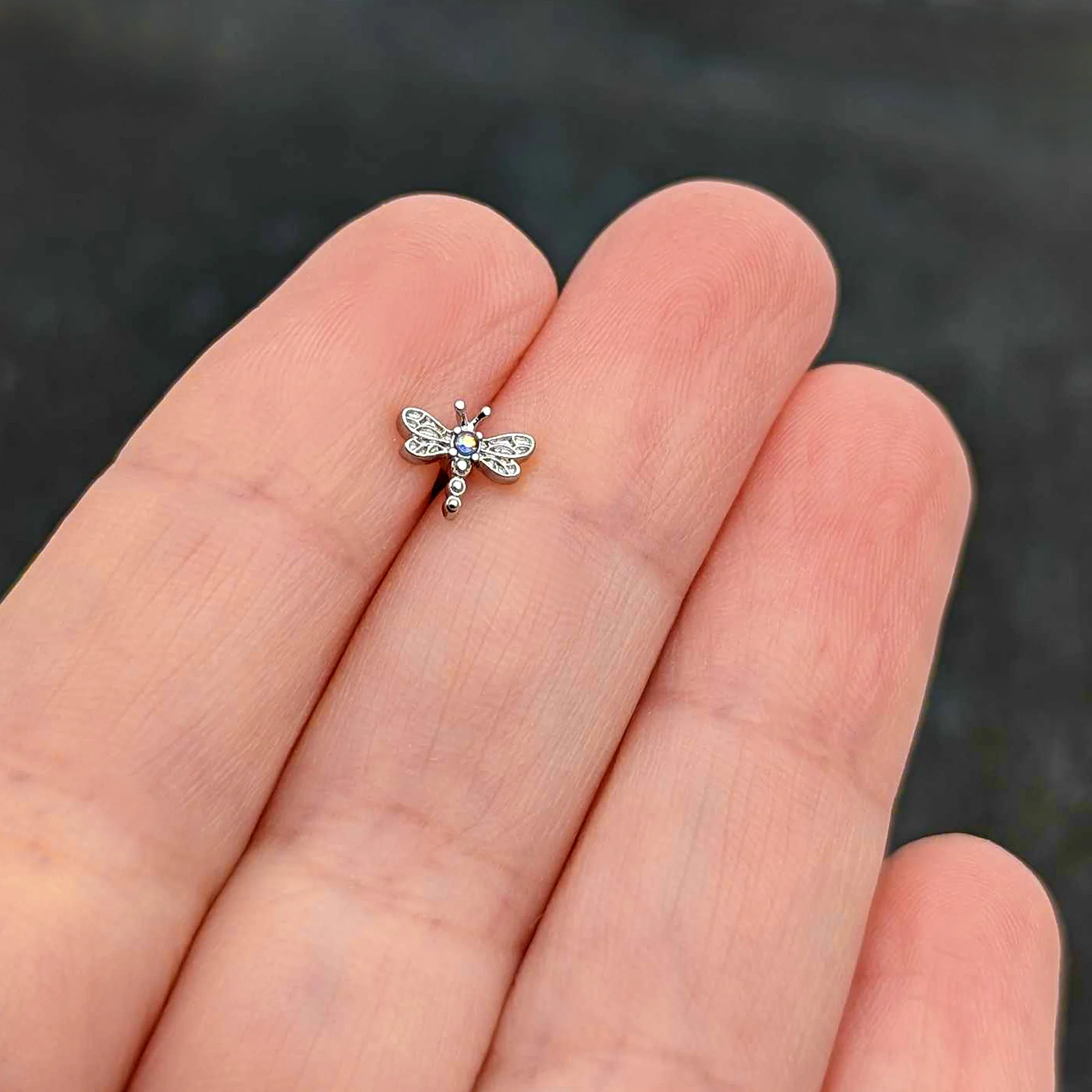 16G 5/16 Aurora Gem Ornate Dragonfly Labret Monroe Tragus - Image 8