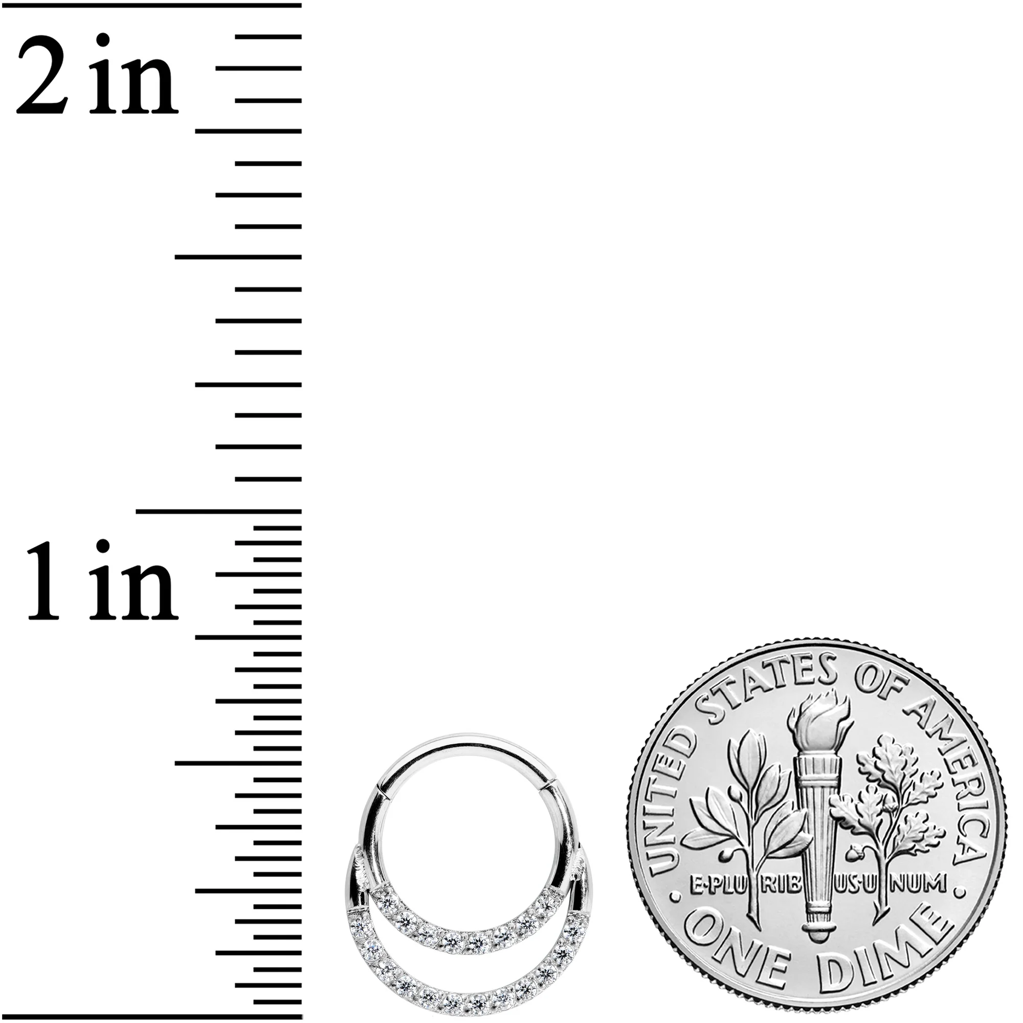 16G 5/16 Clear CZ Gem Double Row Hinged Segment Ring - Image 3