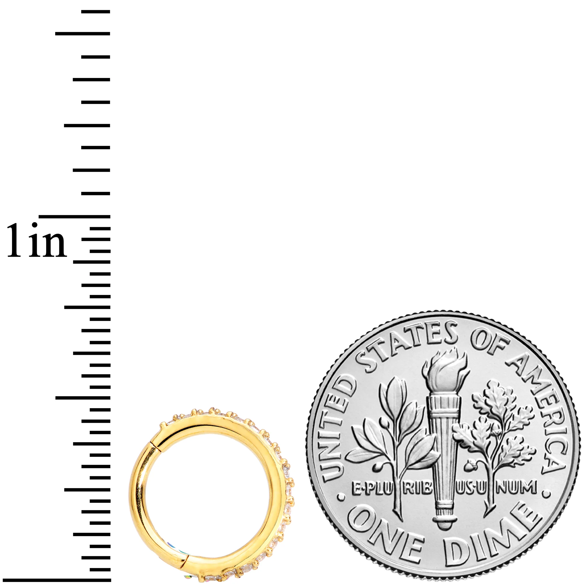 16G 5/16 Clear CZ Gem Gold Tone Hinged Segment Ring - Image 4