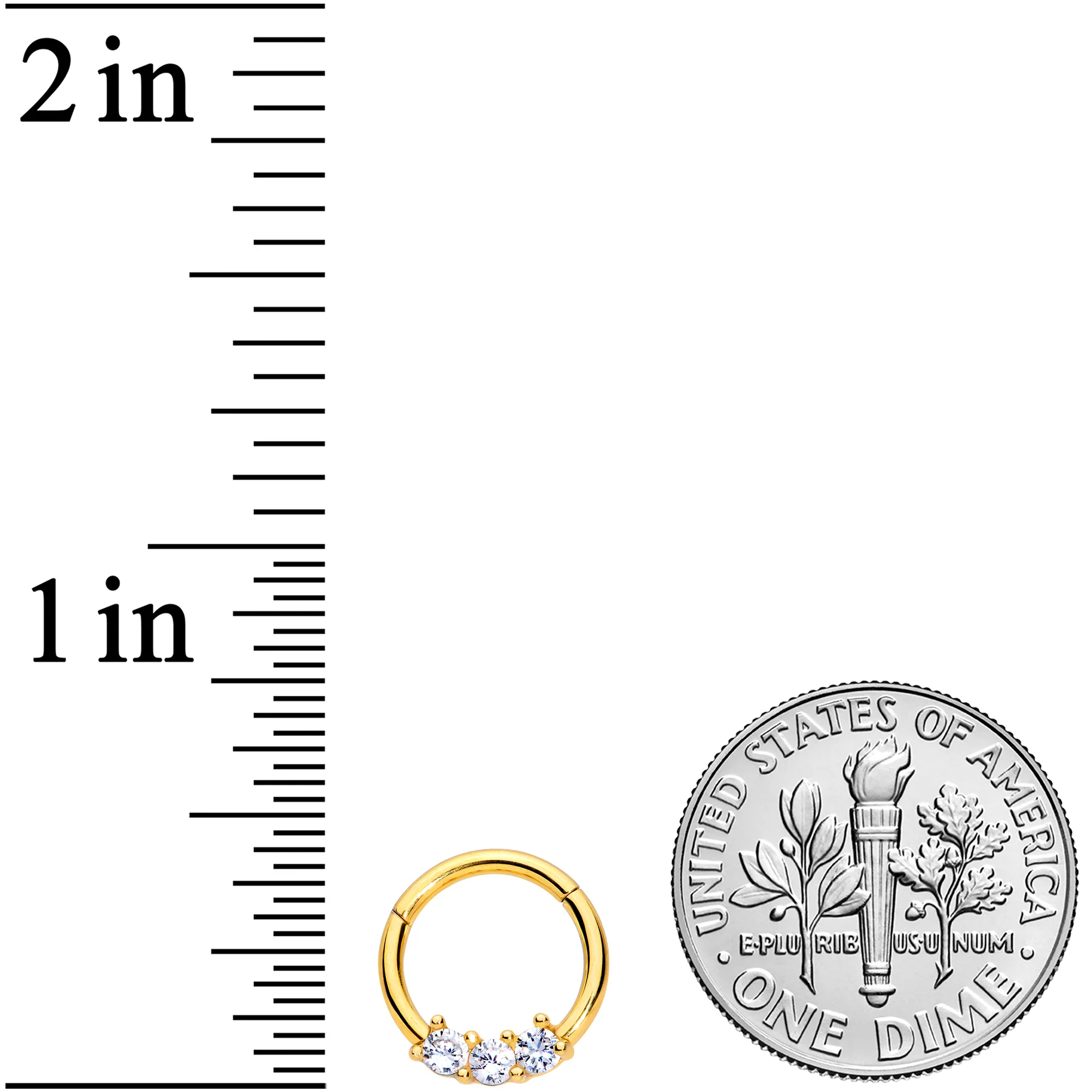 16G 5/16 Clear CZ Gem Gold Tone Trio Hinged Segment Ring - Image 3