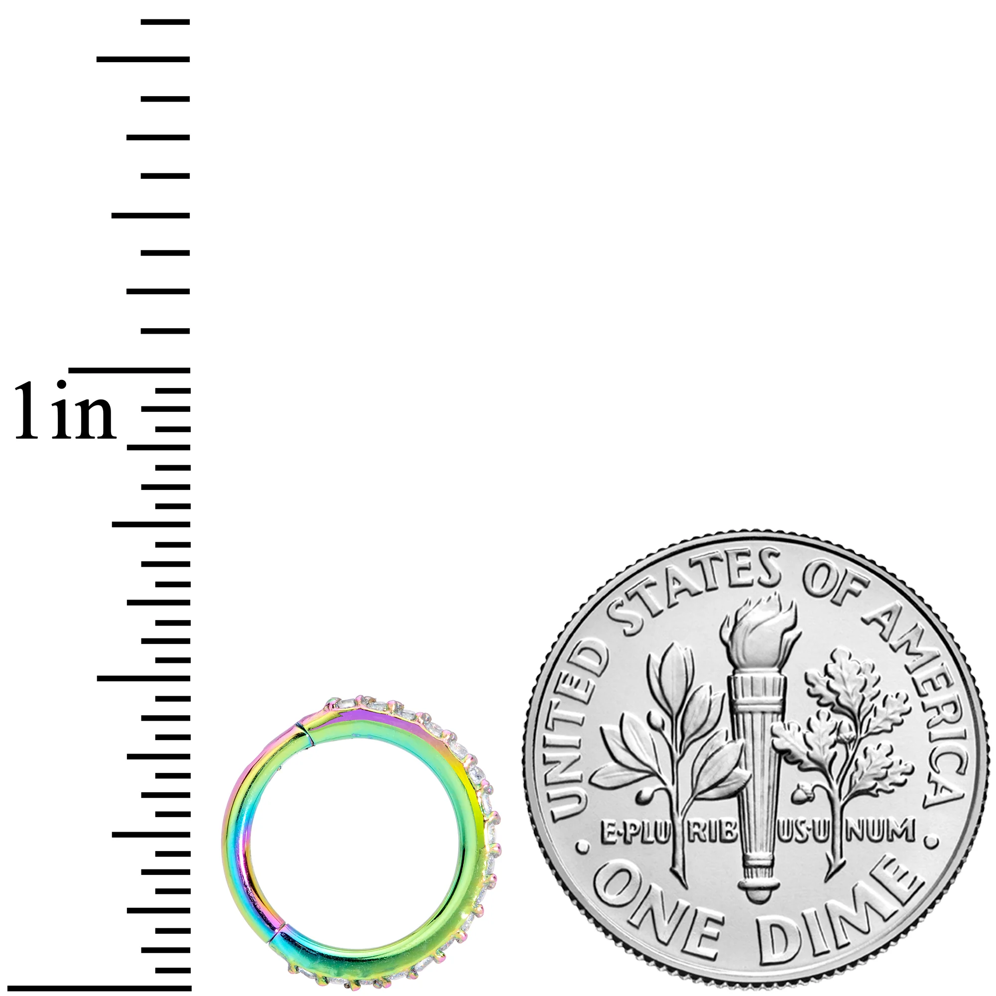 16G 5/16 Clear CZ Gem Rainbow Hinged Segment Ring - Image 5