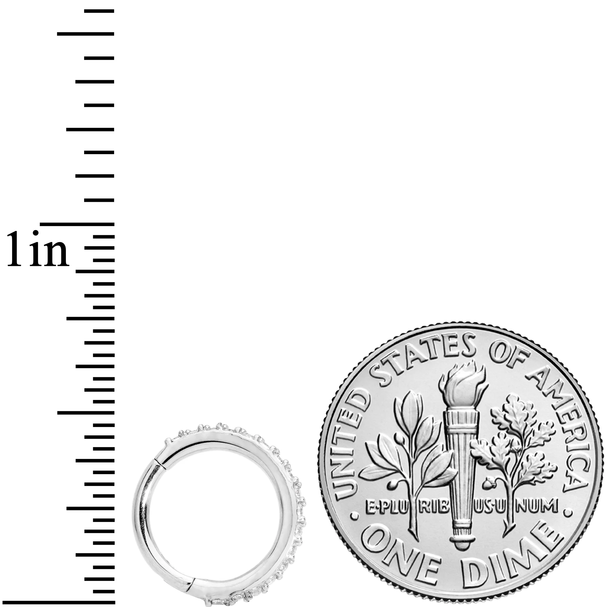 16G 5/16 Clear CZ Gem Stainless Steel Hinged Segment Ring - Image 5