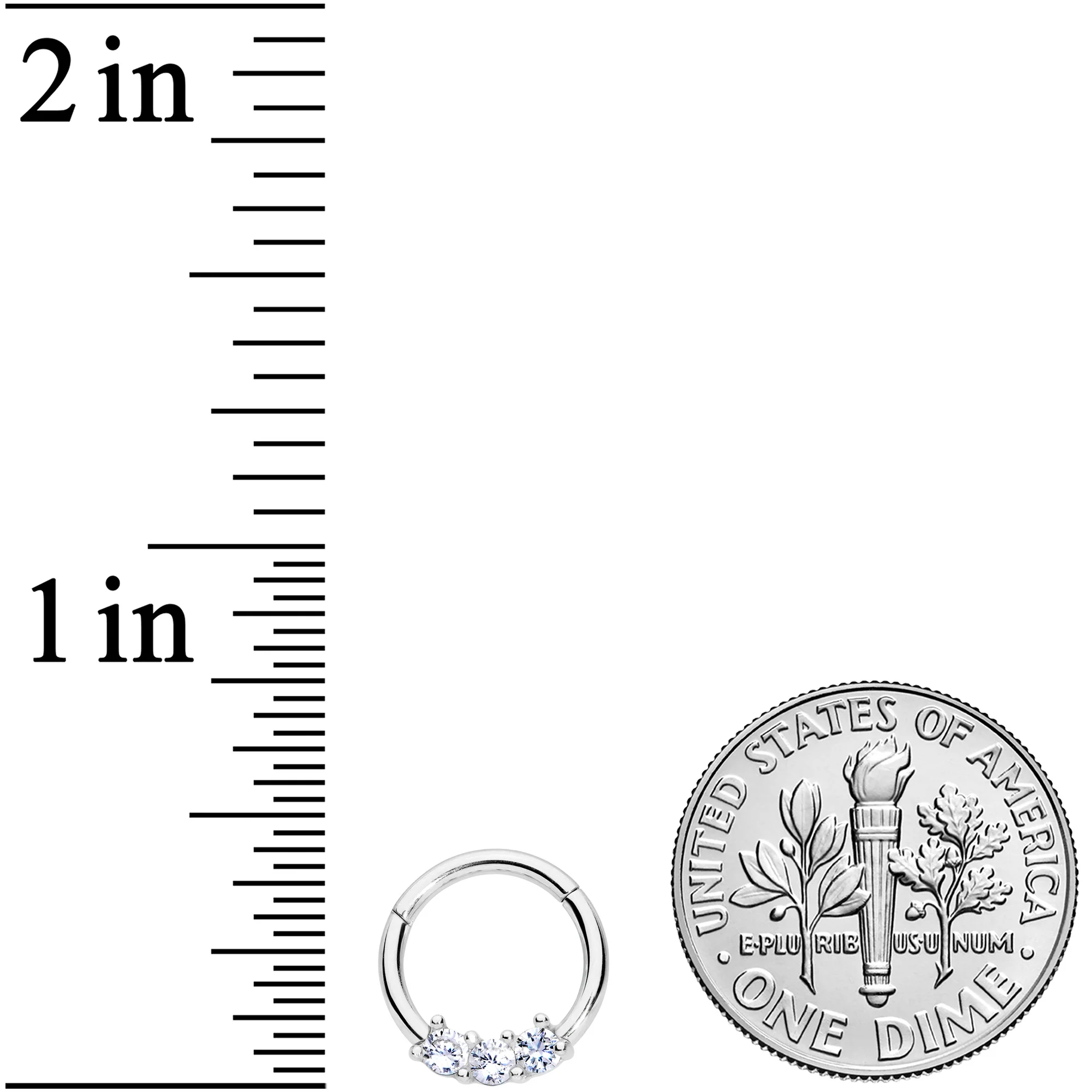 16G 5/16 Clear CZ Gem Trio Hinged Segment Ring - Image 3