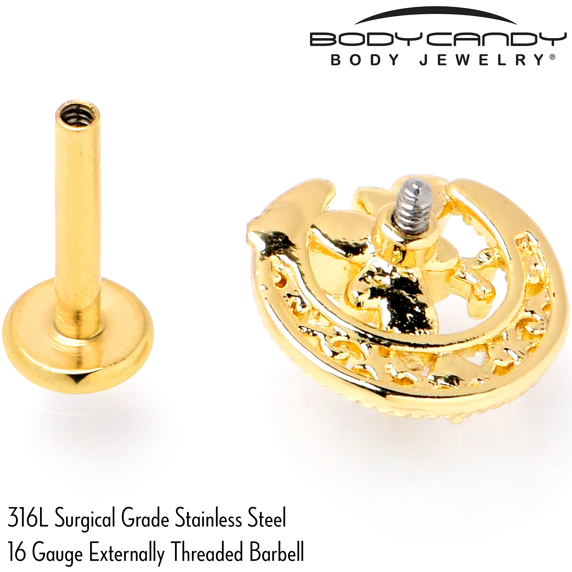 16G 5/16 Clear Gem Gold Tone Interally Threaded Dragonfly Labret - Image 6