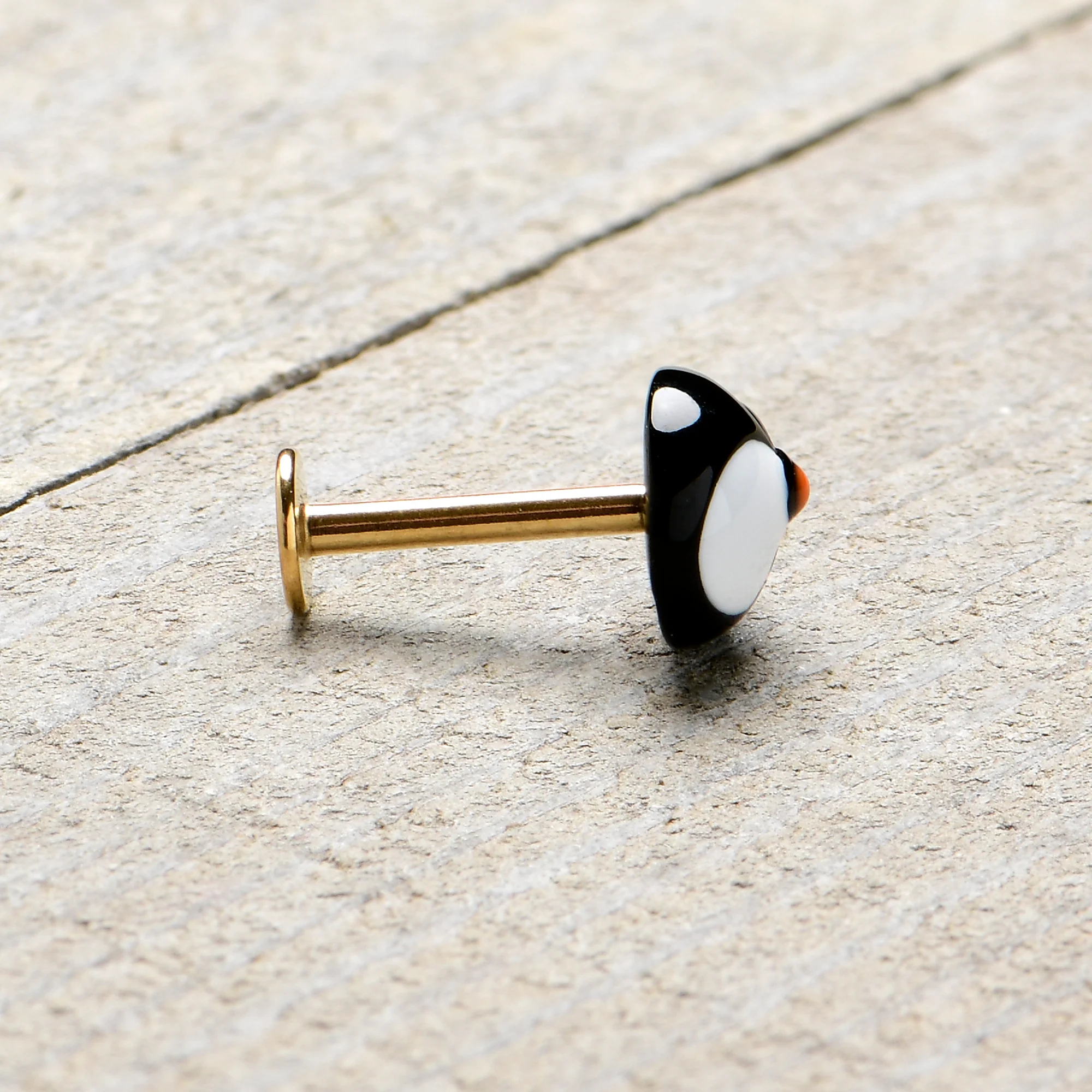 16G 5/16 Gold Hue Round Penguin Face Holiday Labret Monroe Tragus - Image 8