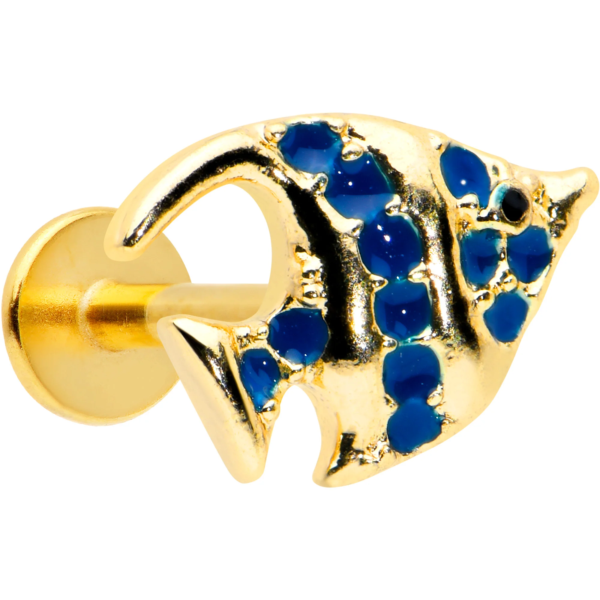 16G 5/16 Gold Tone Blue Adorable Angelfish Labret Monroe Tragus