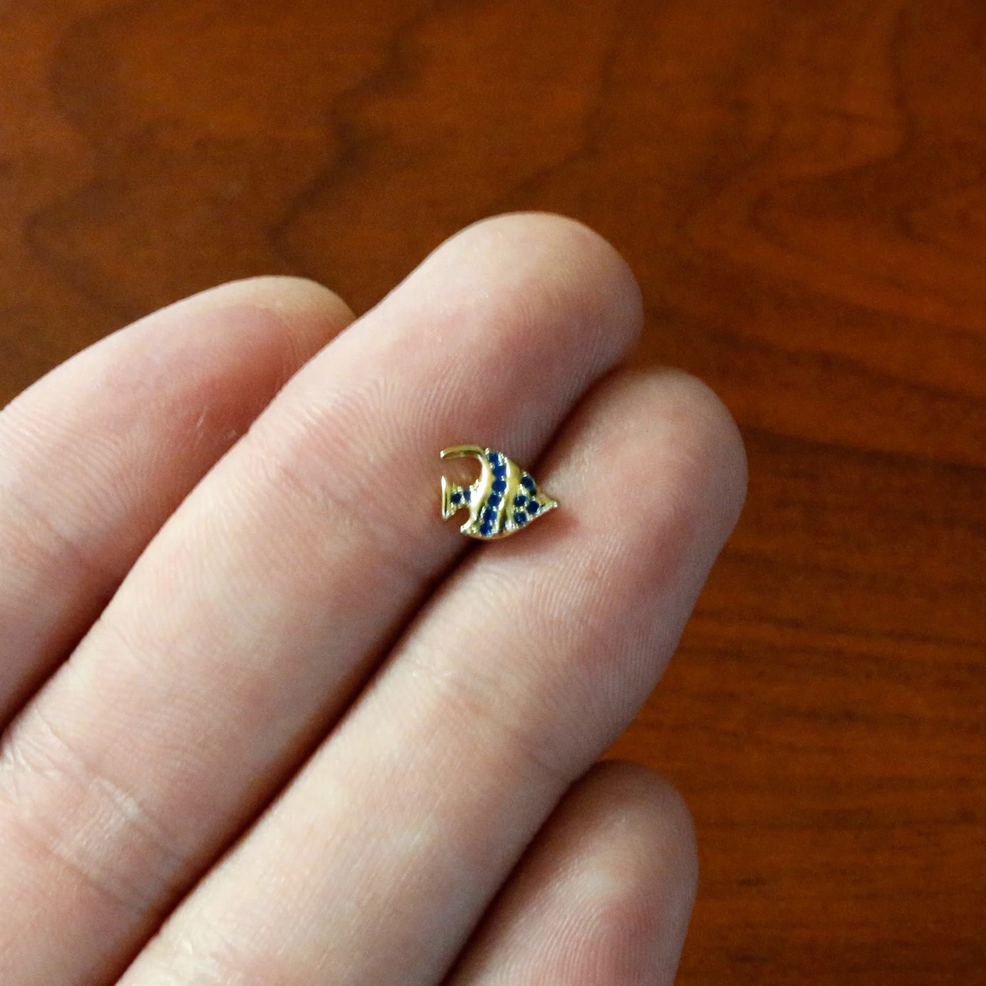 16G 5/16 Gold Tone Blue Adorable Angelfish Labret Monroe Tragus - Image 6