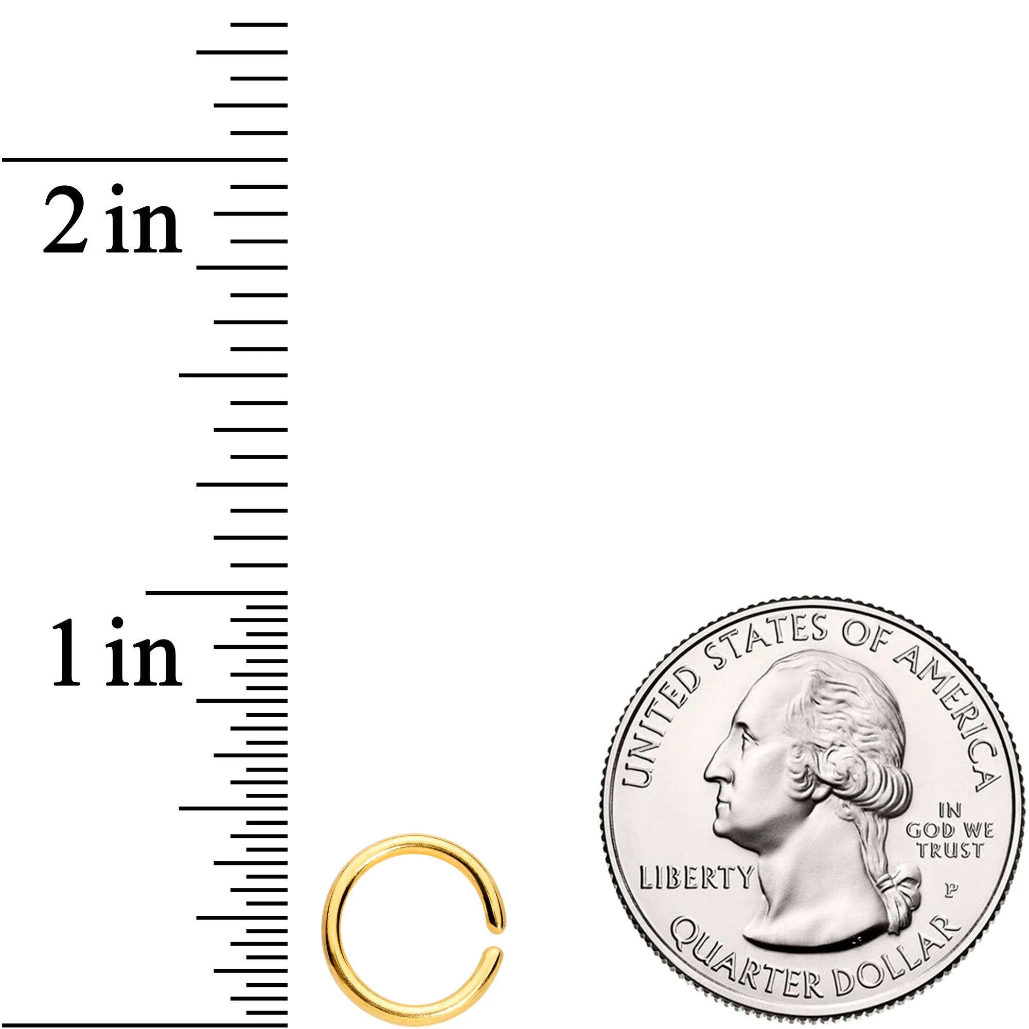 16G 5/16 Gold Tone Titanium IP Circular Ring - Image 2