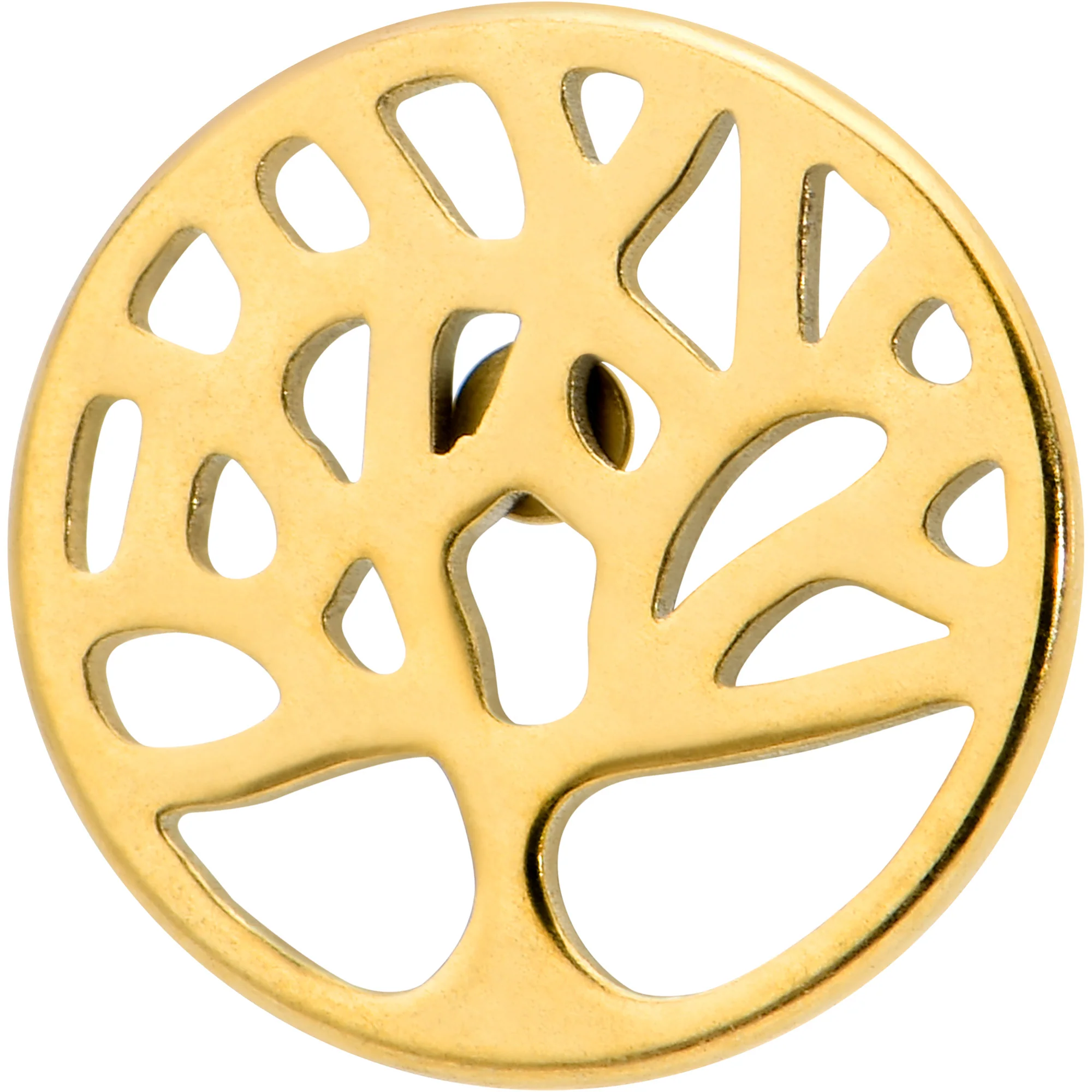 16G 5/16 Gold Tone Tree Circle Internal Thread Labret Monroe Tragus - Image 2