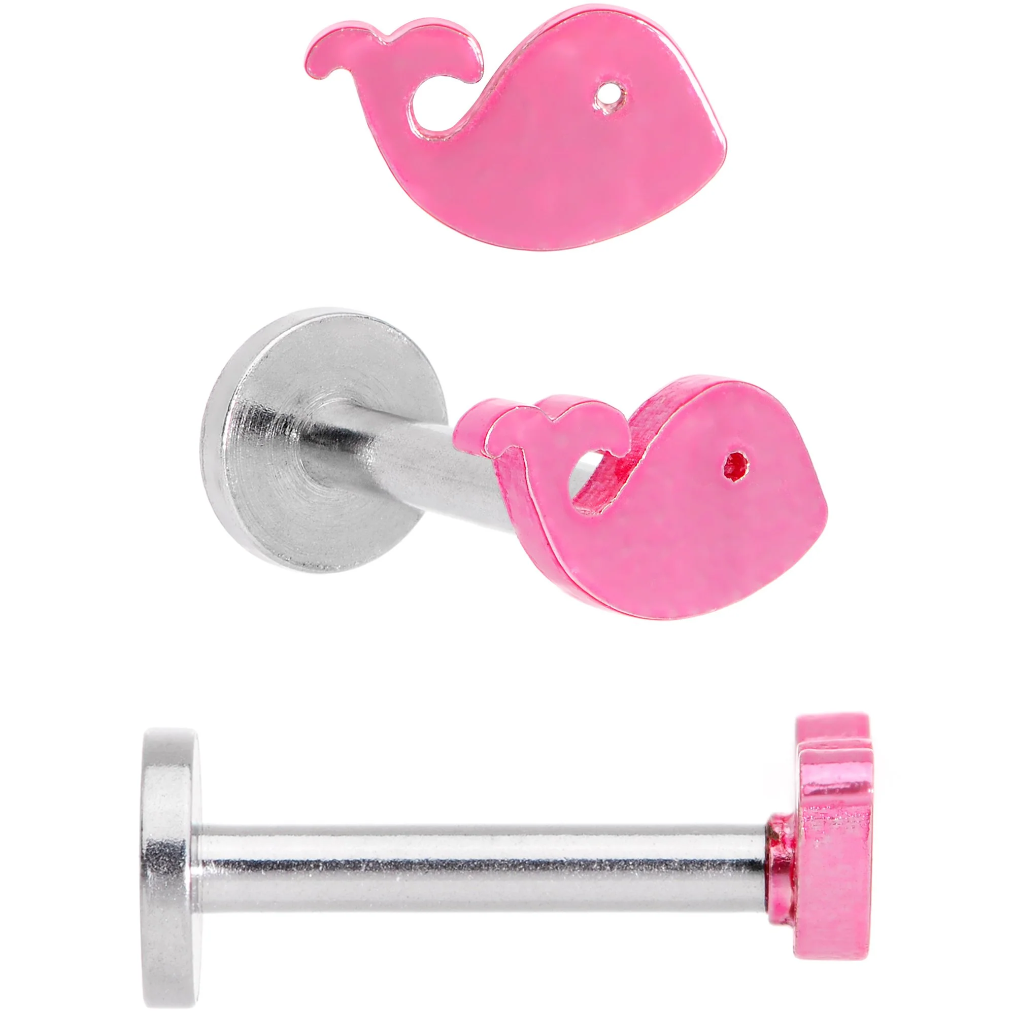 16G 5/16 Multicolor Internally Threaded Whale Labret Set of 4 - Image 3
