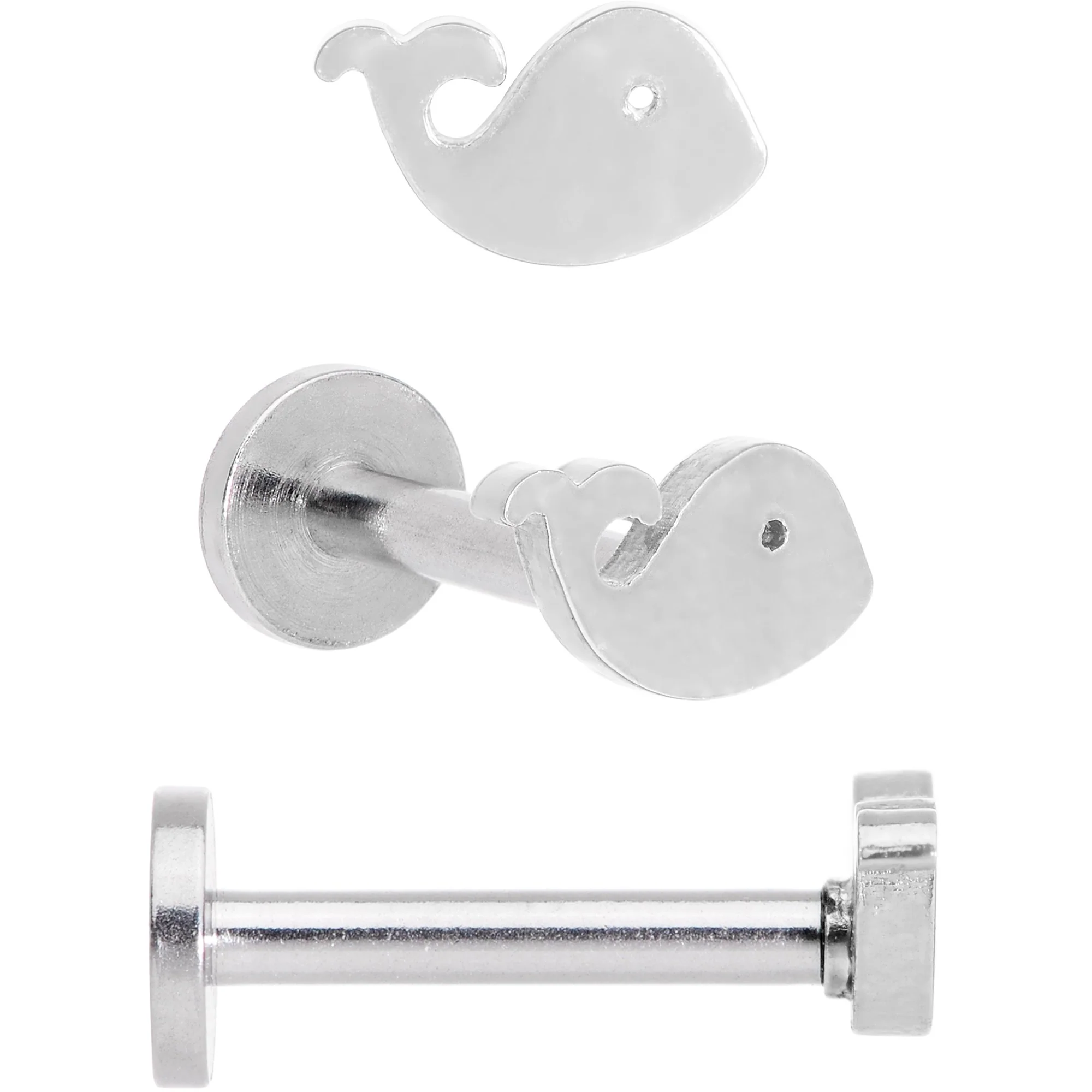 16G 5/16 Multicolor Internally Threaded Whale Labret Set of 4 - Image 4