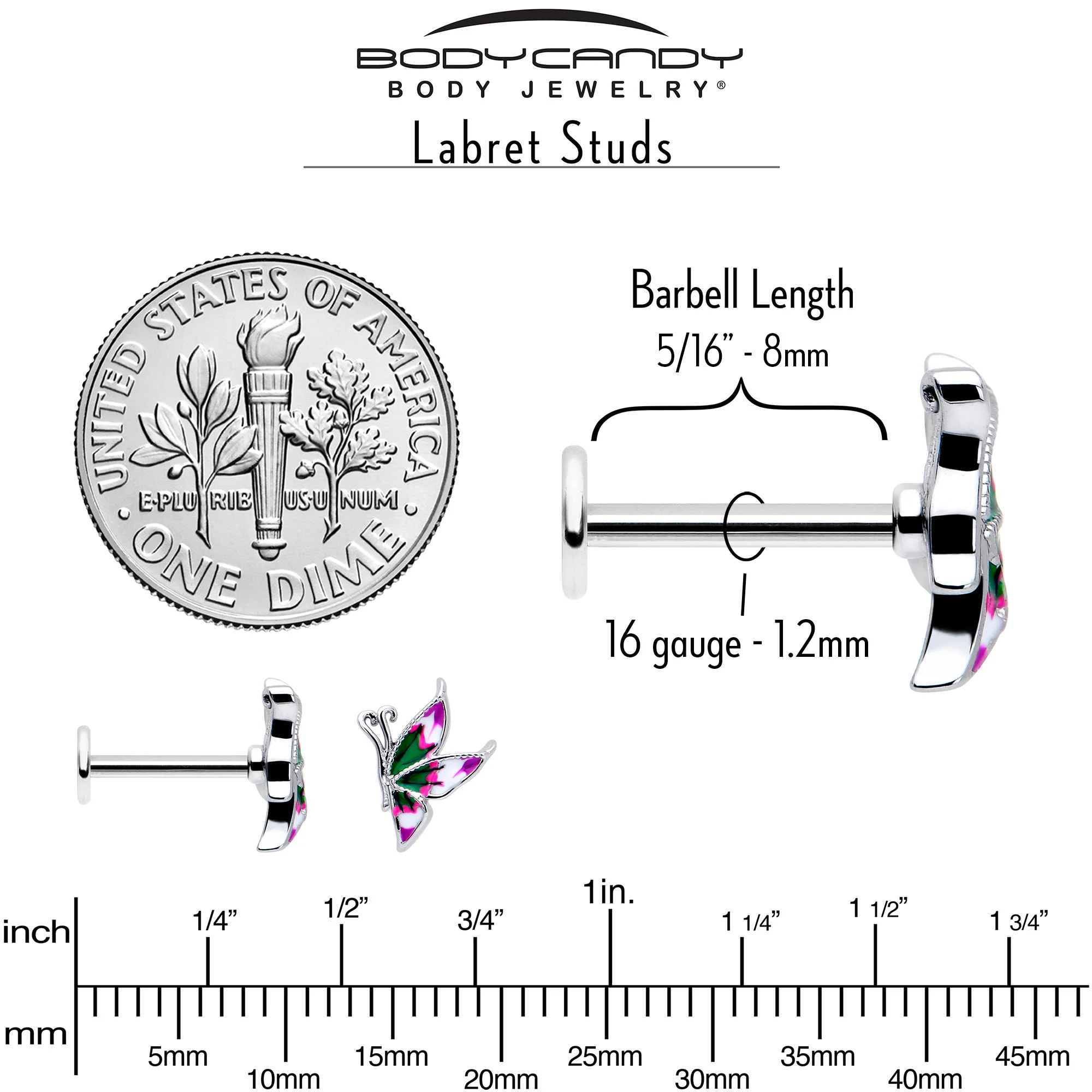 16G 5/16 Profile Butterfly Labret Monroe Tragus - Image 5