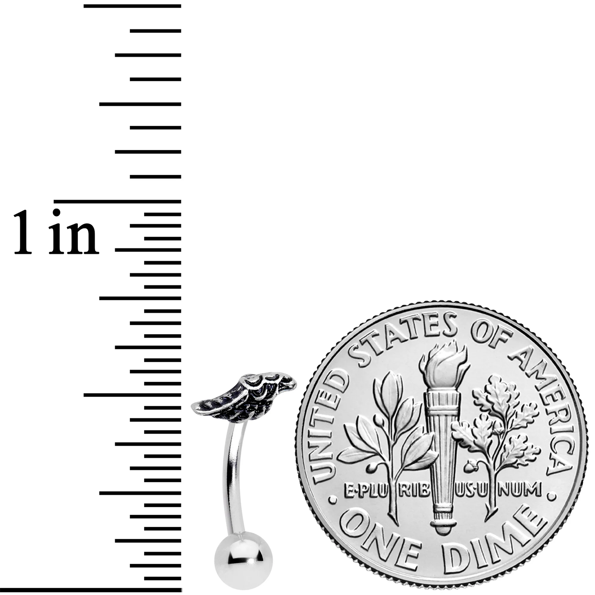 16G 5/16 Single Angels Wing Curved Eyebrow Ring - Image 2