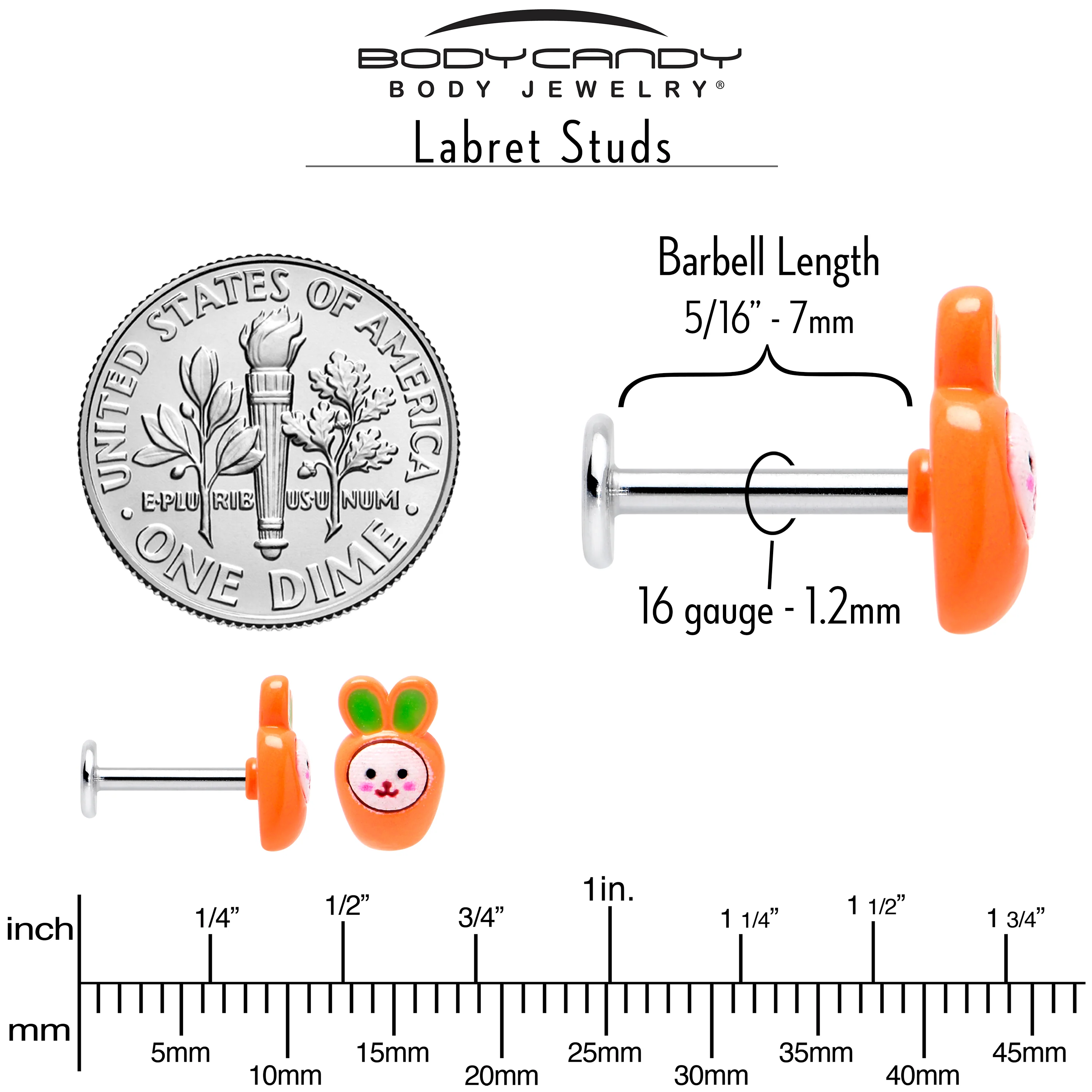 16G 5/16 Surprise Carrot Easter Bunny Labret Monroe Tragus - Image 6