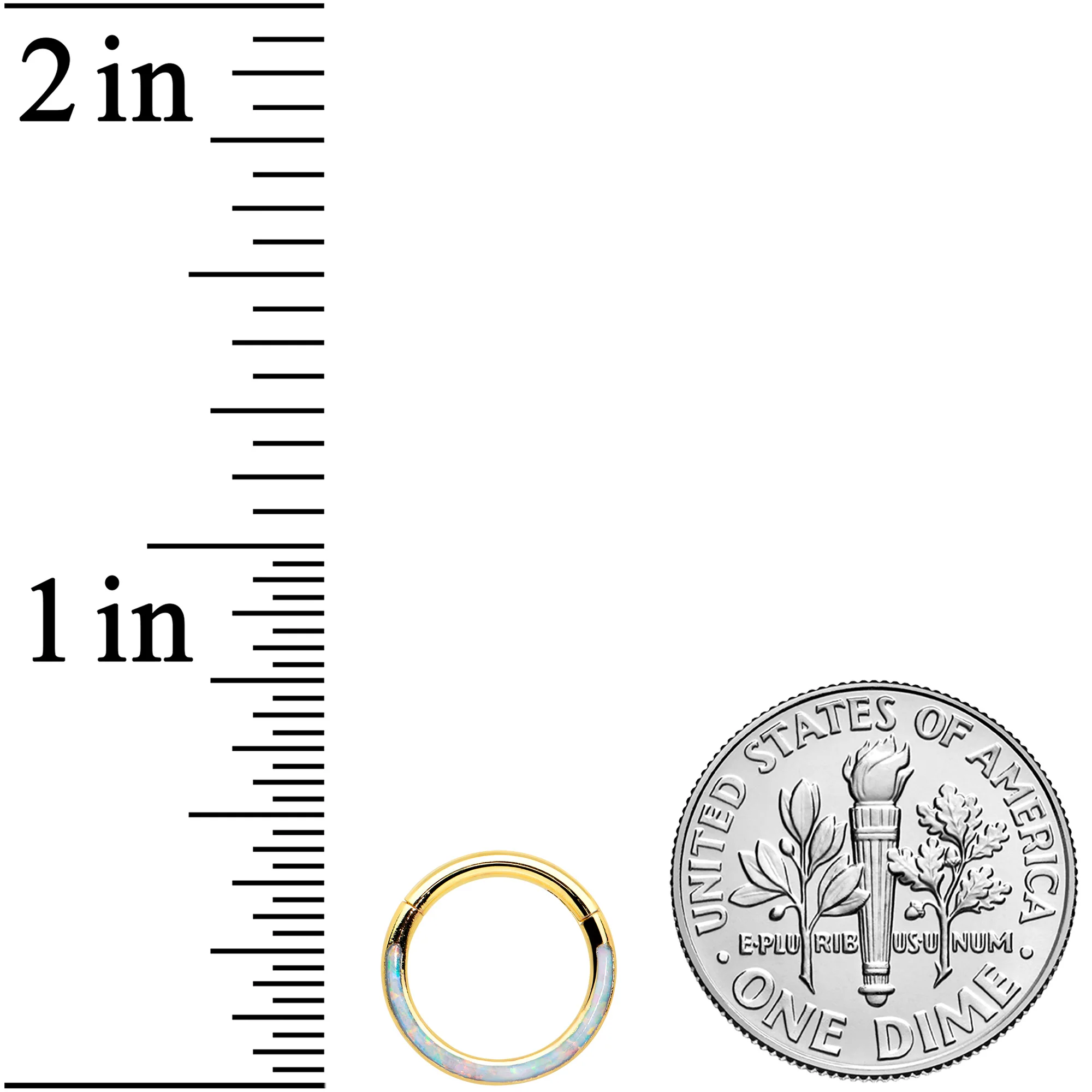 16G 5/16 Synth Opal Gold Tone Bottom Curve Hinged Segment Ring - Image 3