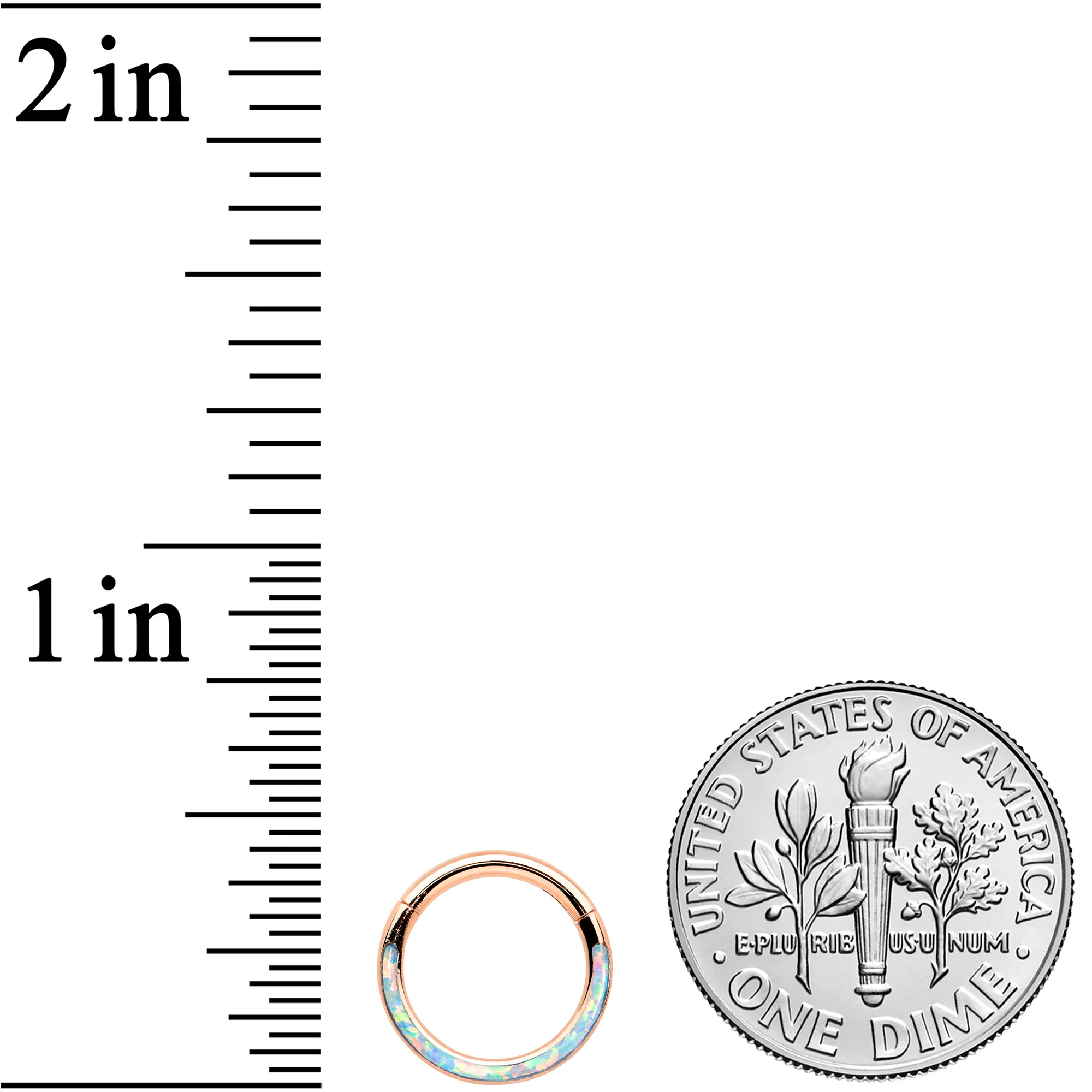 16G 5/16 Synth Opal Rosy Tone Bottom Curve Hinged Segment Ring - Image 3