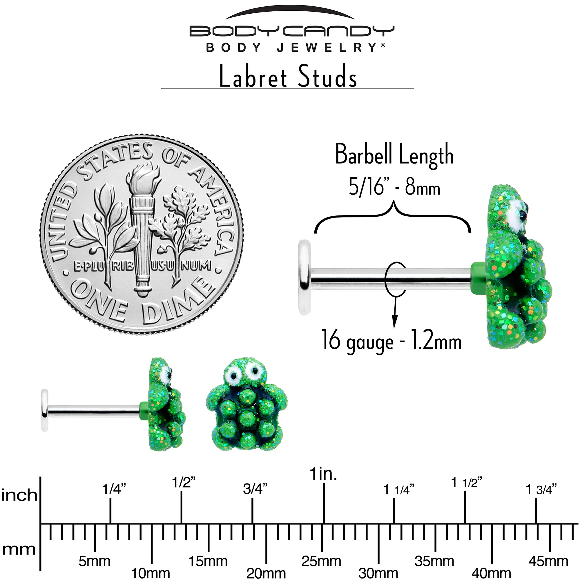 16G 5/16 Texture Turtle Labret Monroe Tragus - Image 5