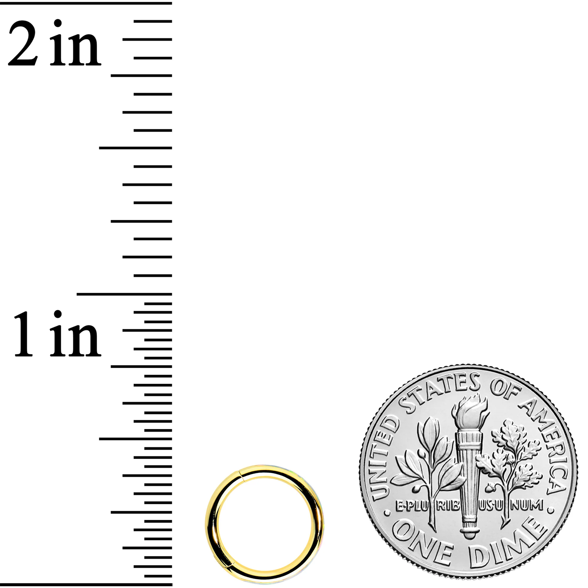 16G 5/16 White Synth Opal Gold Tone Forward Facing Segment Ring - Image 4