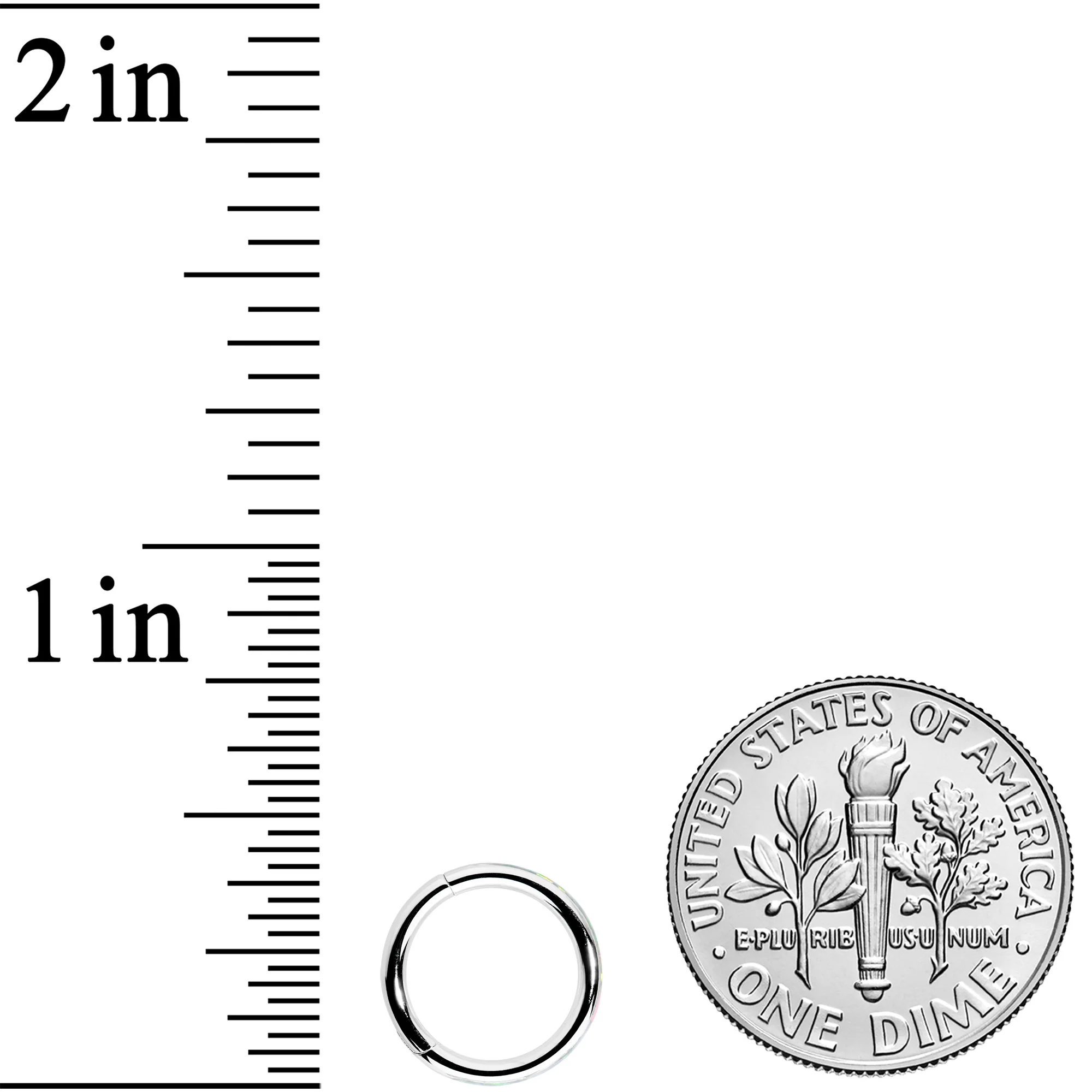 16G 5/16 White Synthetic Opal Forward Facing Hinged Segment Ring - Image 4