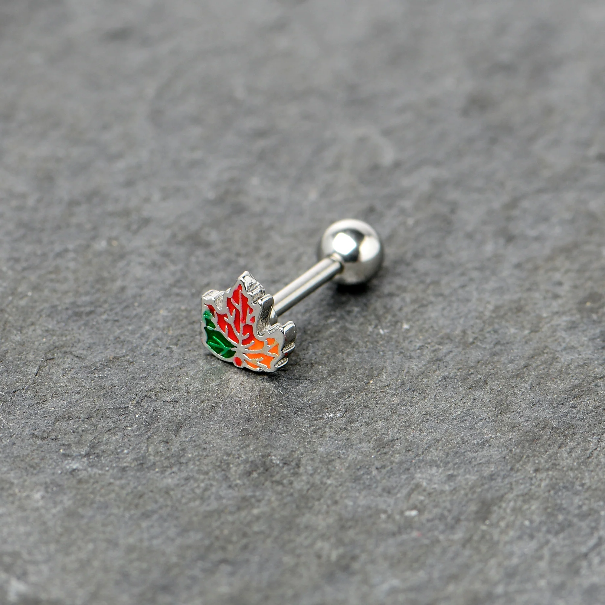 16G 5/16 Autumn Tricolor Maple Leaf Cartilage Tragus Earring - Image 5