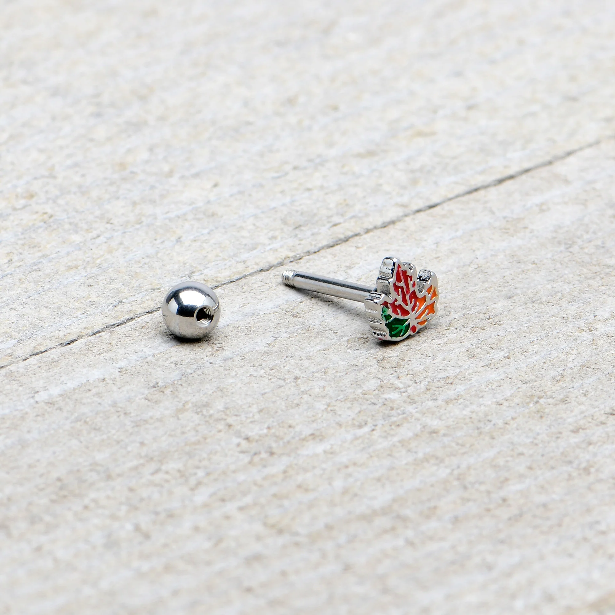 16G 5/16 Autumn Tricolor Maple Leaf Cartilage Tragus Earring - Image 7