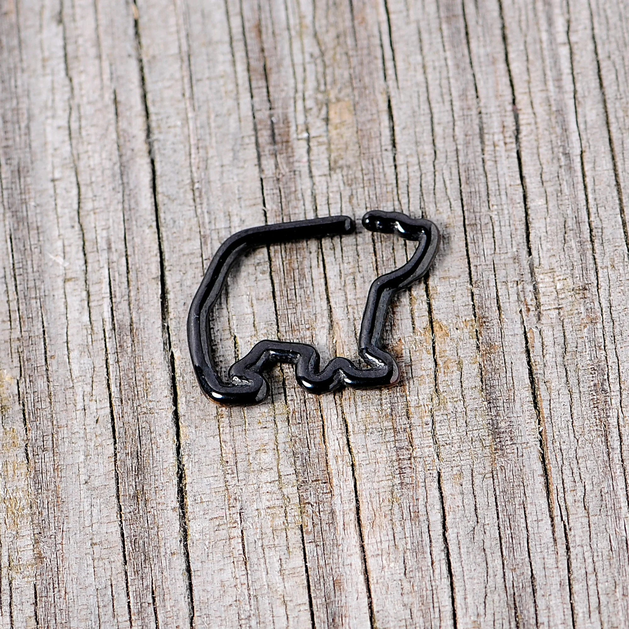 16G 5/16 Black Polar Bear Closure Ring - Image 3