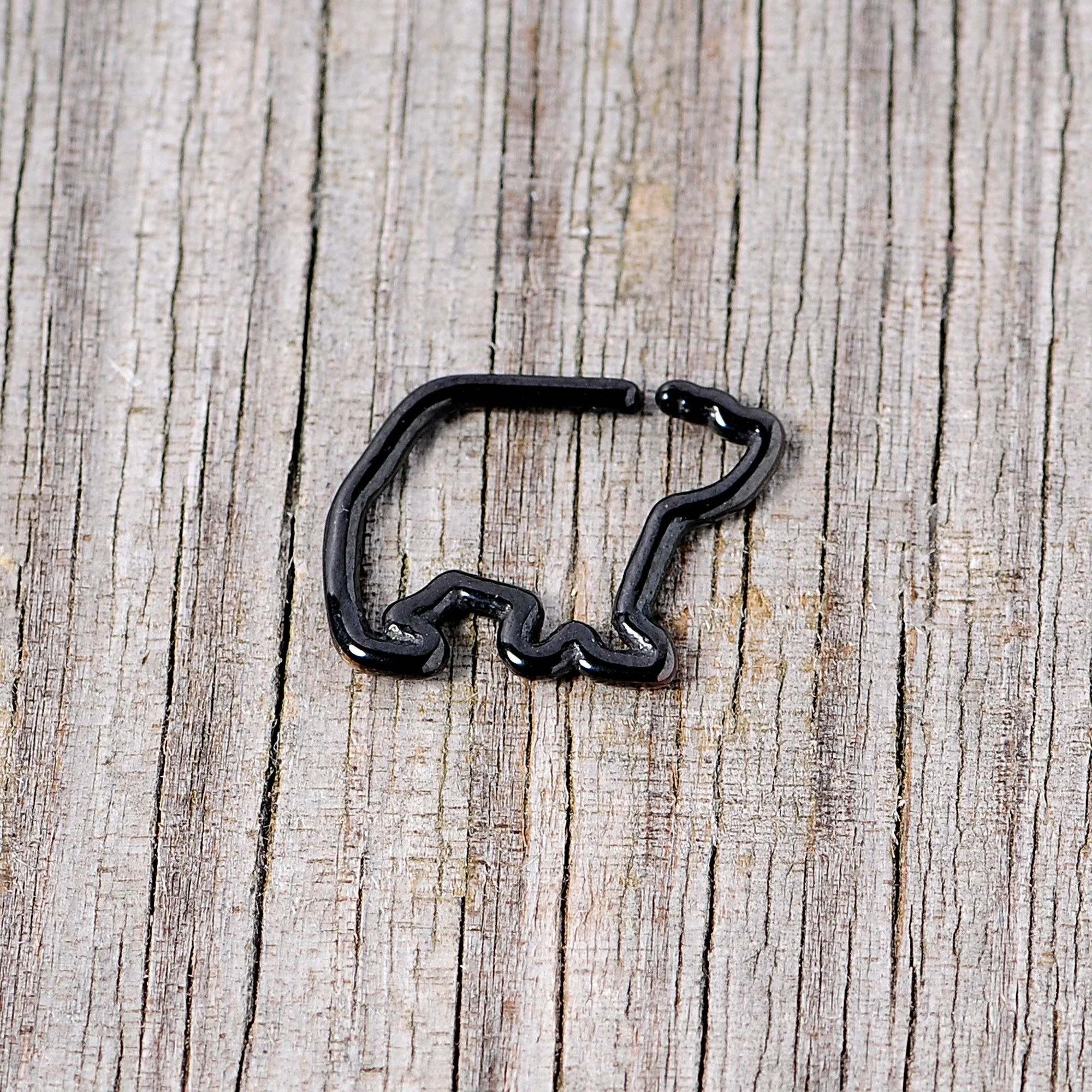 16G 5/16 Black Polar Bear Closure Ring - Image 4