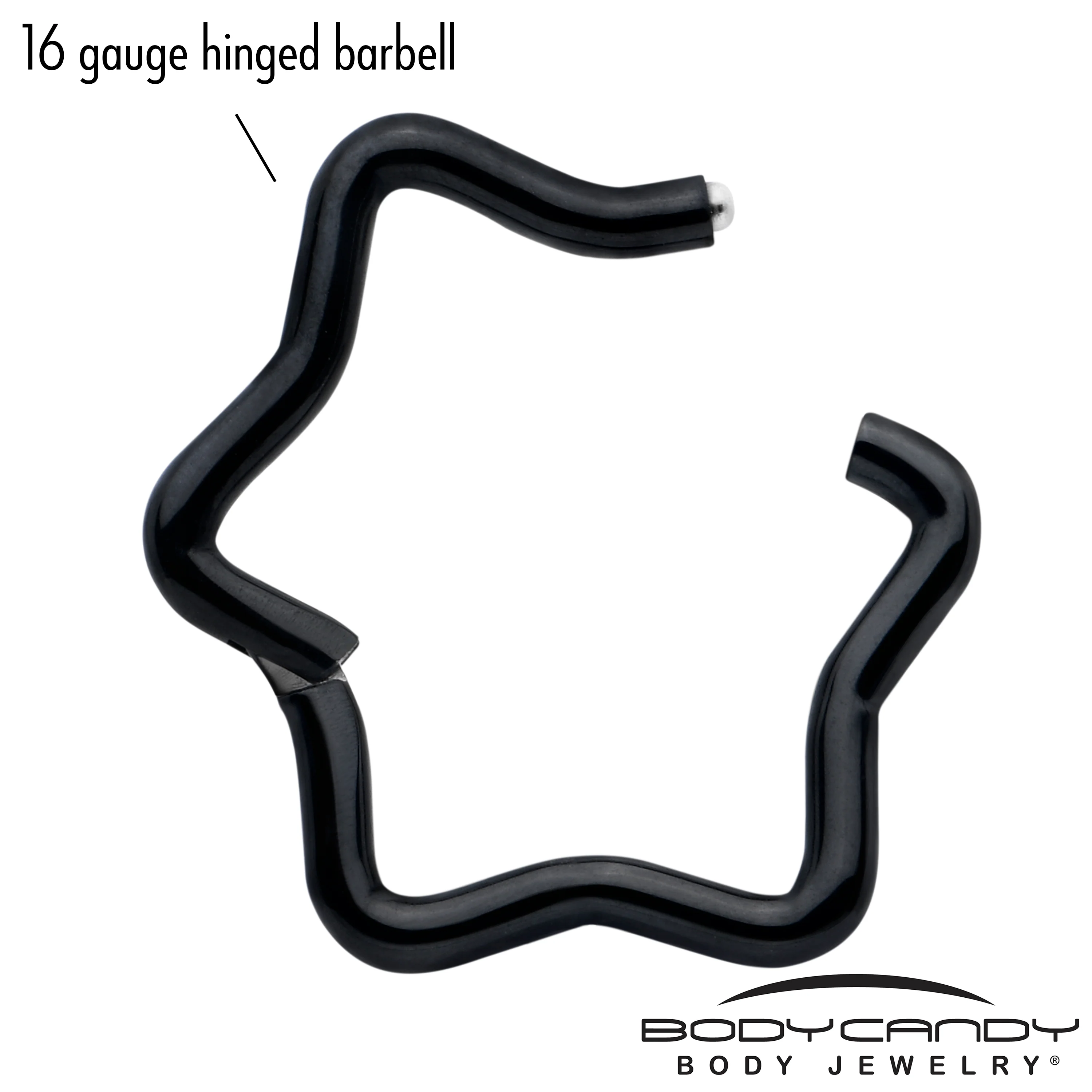 16G 5/16 Black Star Shaped Hinged Segment Ring - Image 3