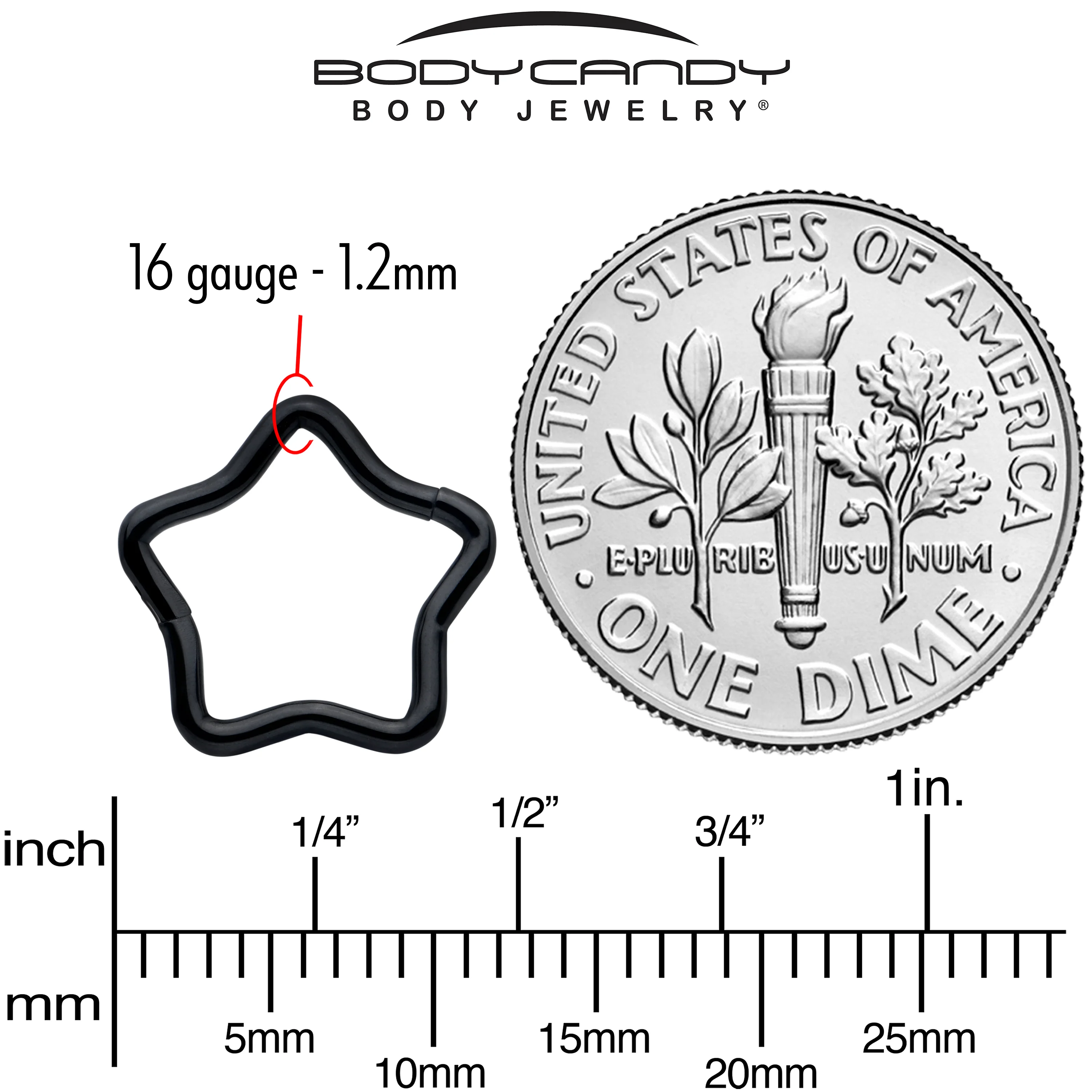 16G 5/16 Black Star Shaped Hinged Segment Ring - Image 4