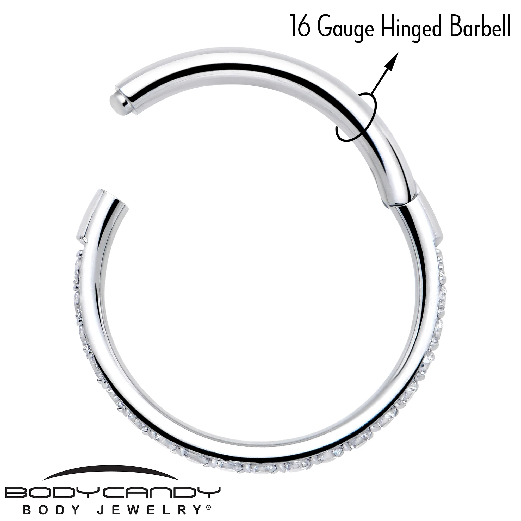 16G Clear Cubic Zirconia Forward Facing Hinged Segment Ring - Image 5