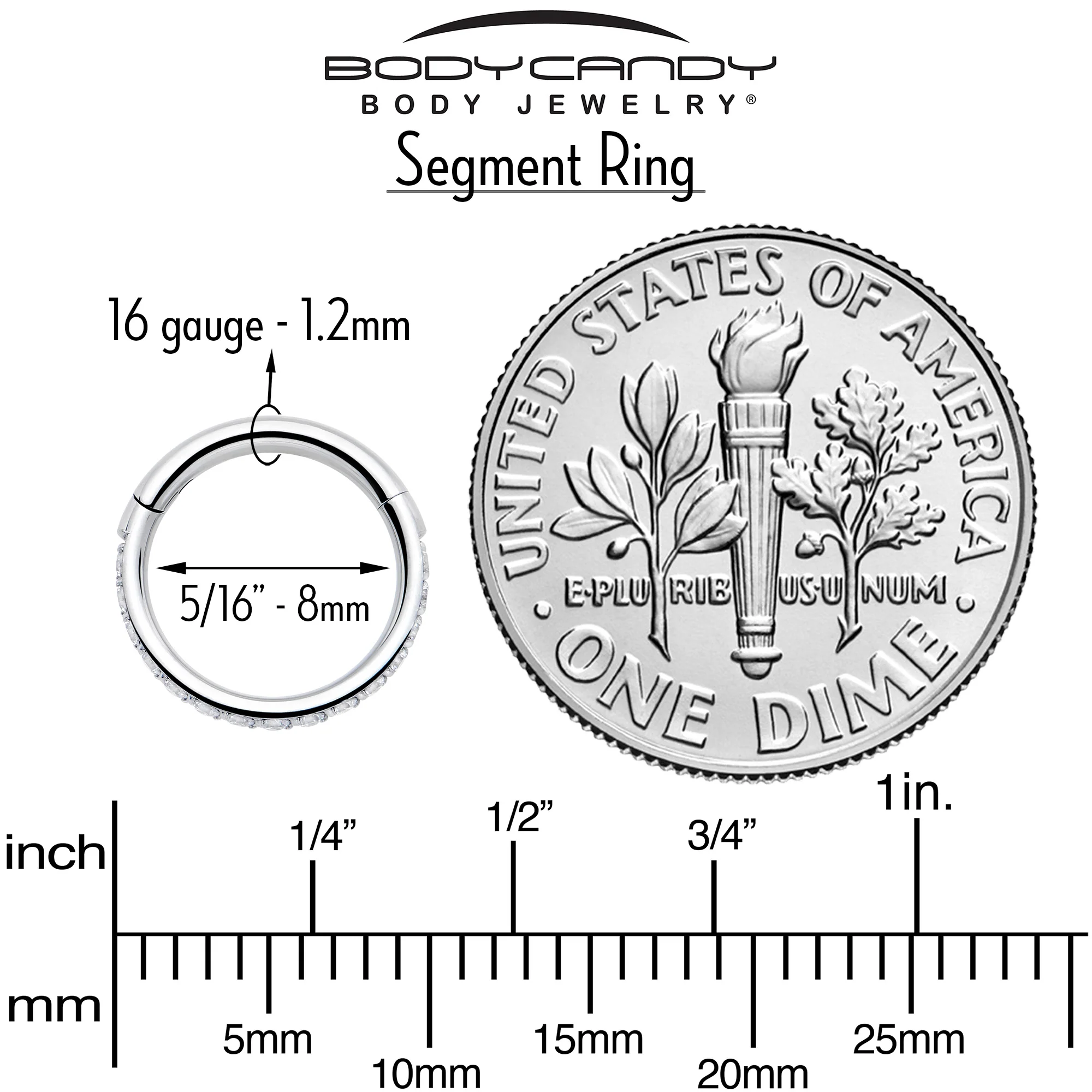16G Clear Cubic Zirconia Forward Facing Hinged Segment Ring - Image 7