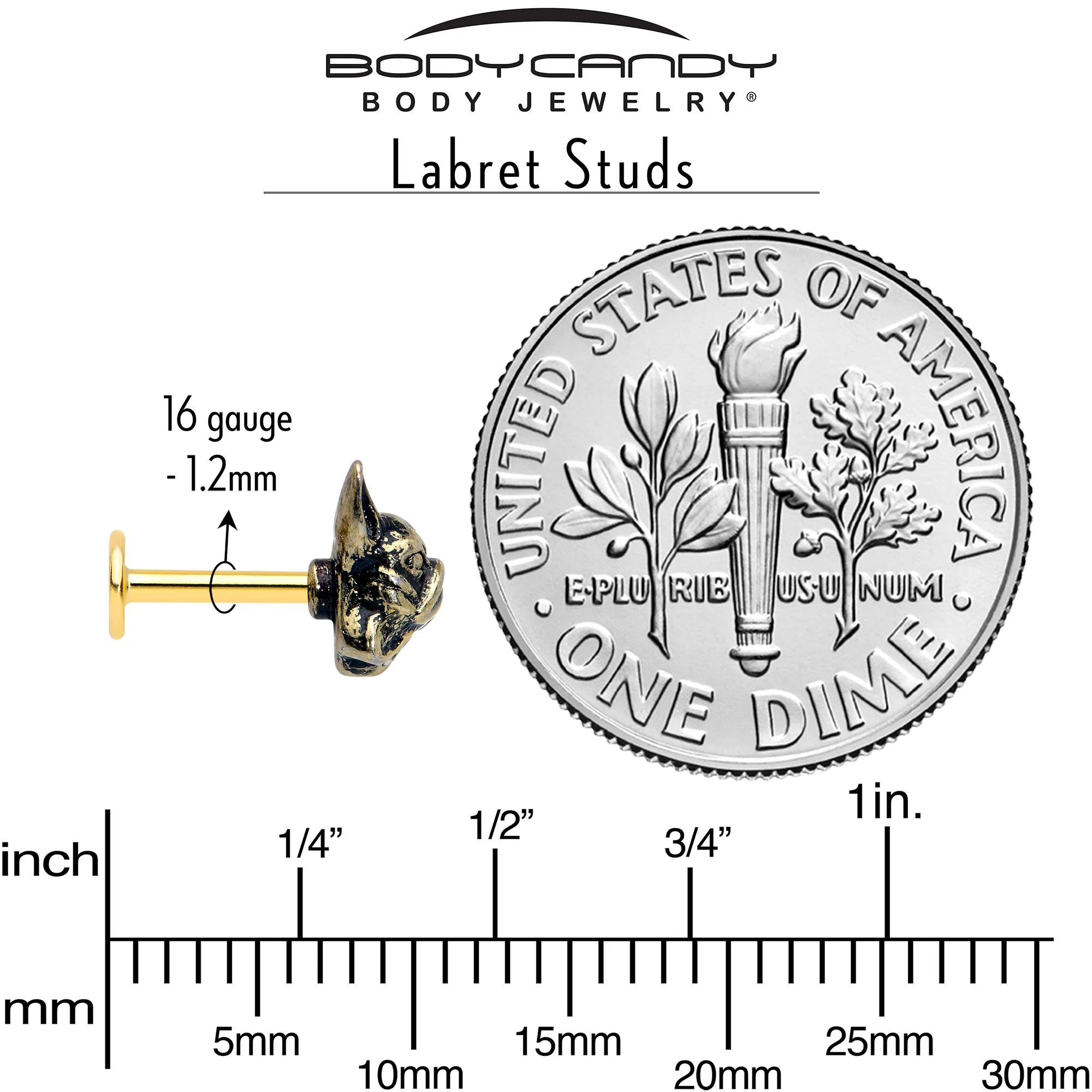 16G French Bulldog Flat Back Earring Set Internally Threaded 3 Pack - Image 6