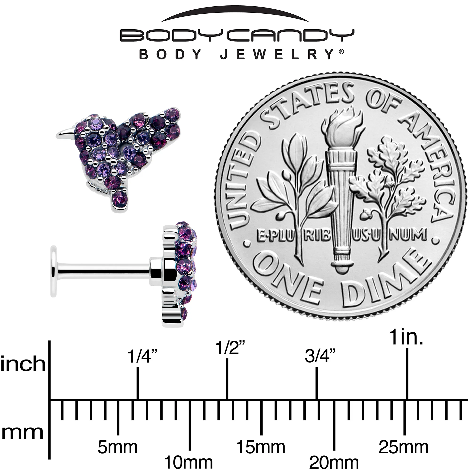 16G 1/4 Purple Gem Hummingbird Flair Cartilage Labret - Image 5