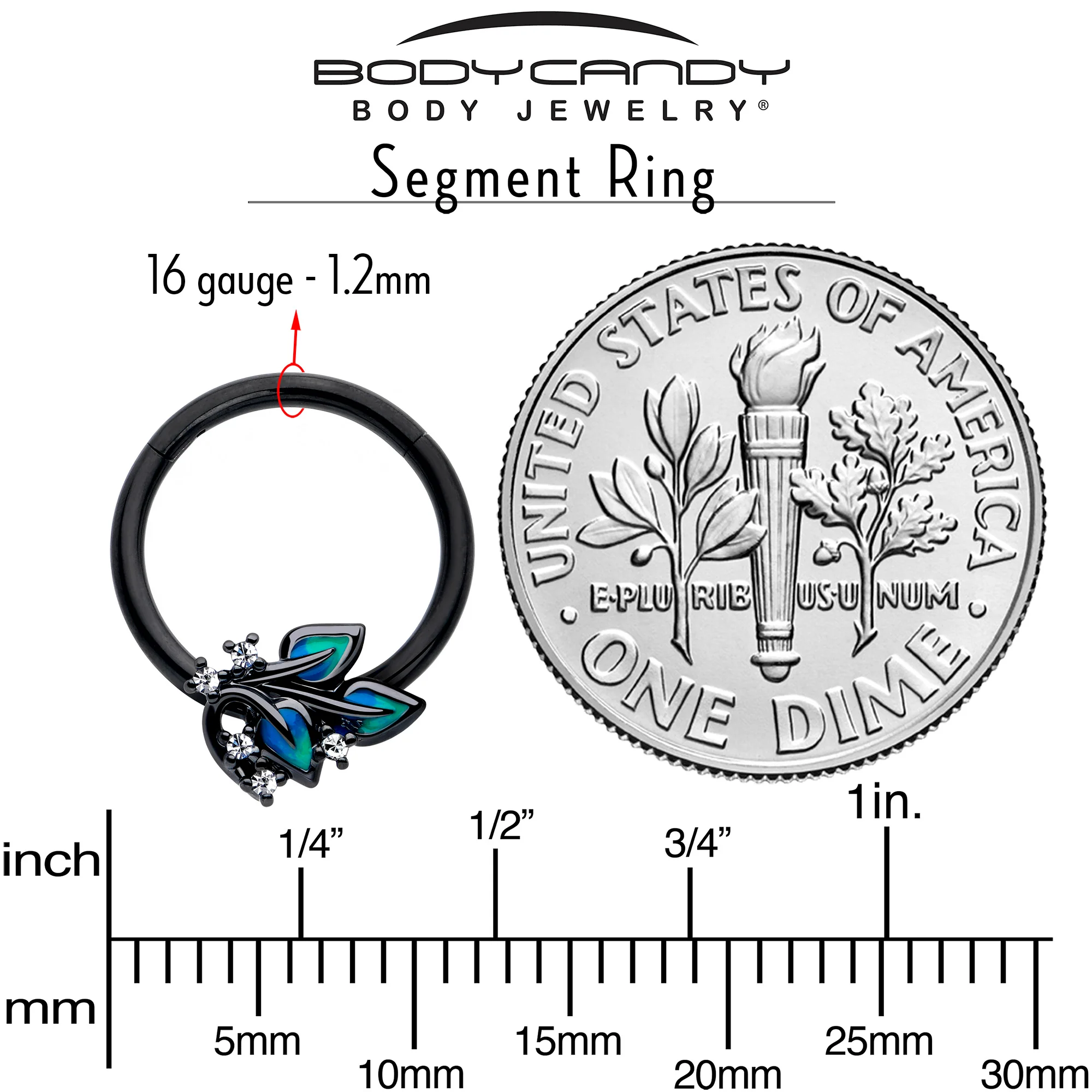 16G 3/8 Clear CZ Gem Black Lush Leaves Hinged Segment Ring - Image 4