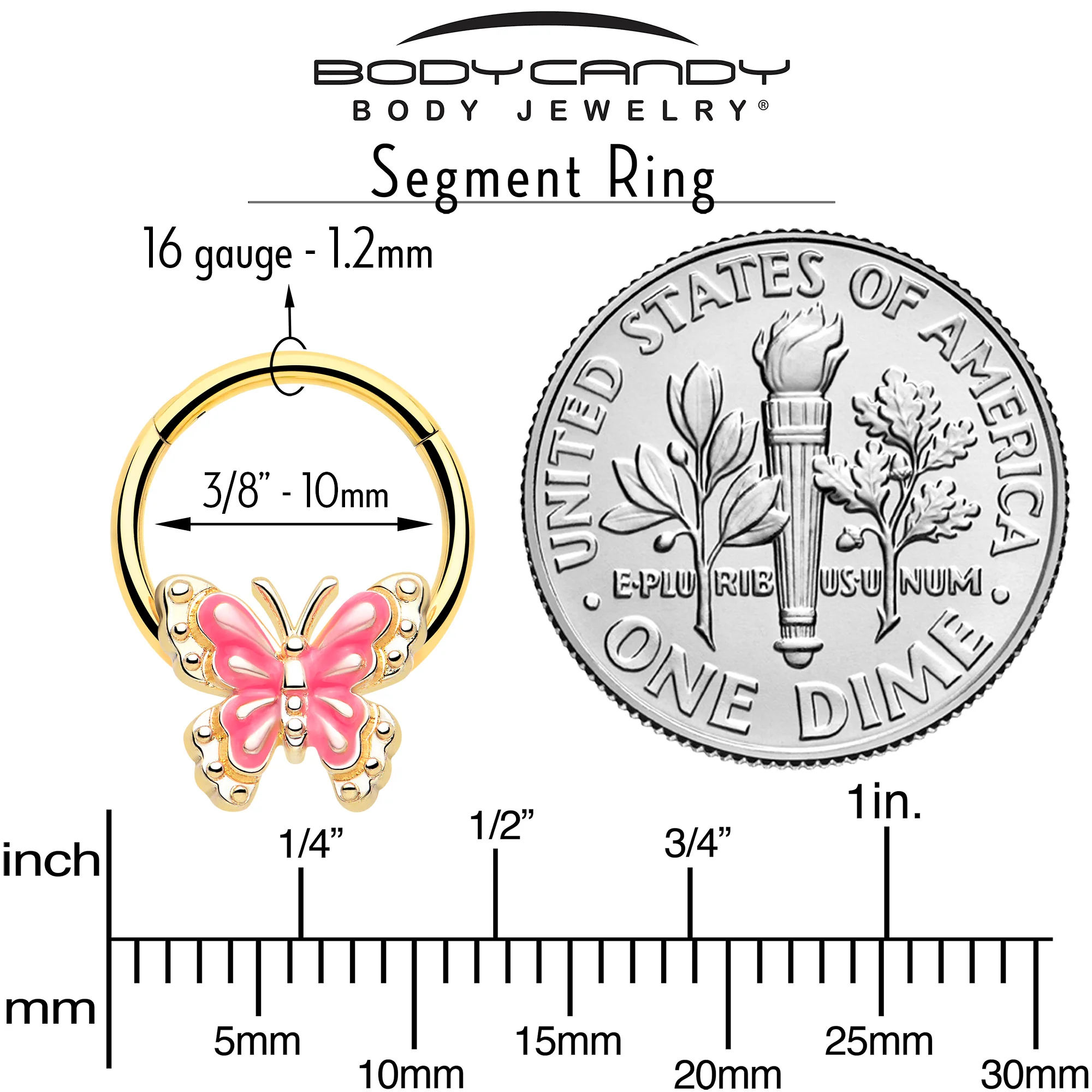 16G 3/8 Gold Tone Butterfly Pink Splash Hinged Segment Ring - Image 4