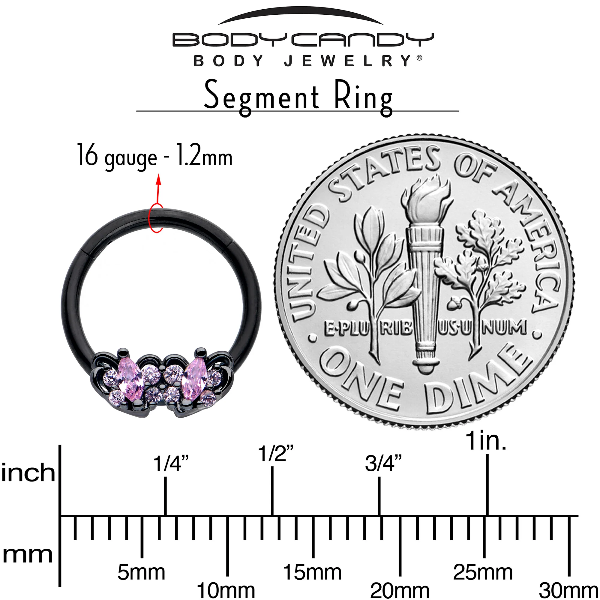16G 3/8 Pink CZ Gem Black Looping Hearts Hinged Segment Ring - Image 4