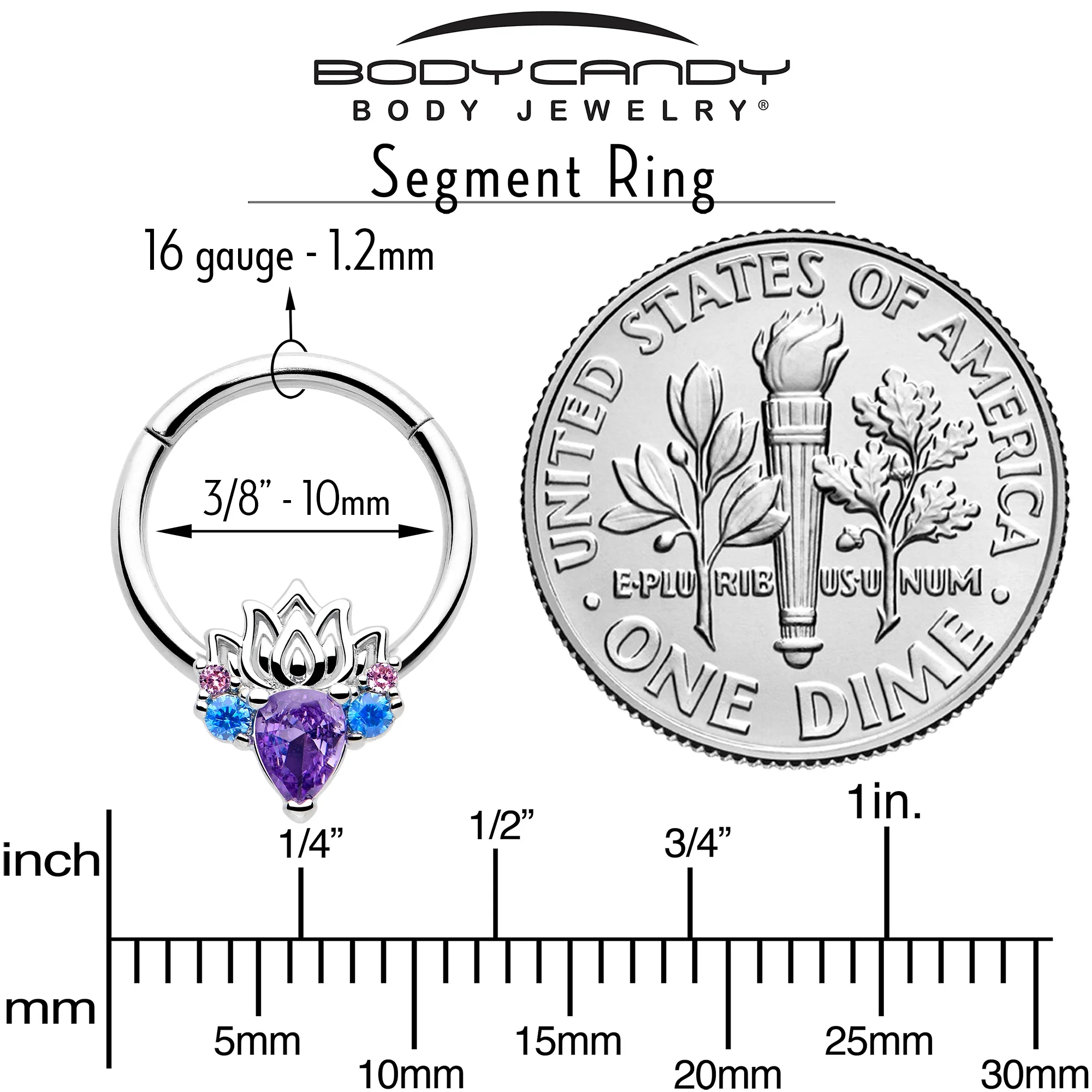 16G 3/8 Purple CZ Gem Fire Lotus Hinged Segment Ring - Image 4