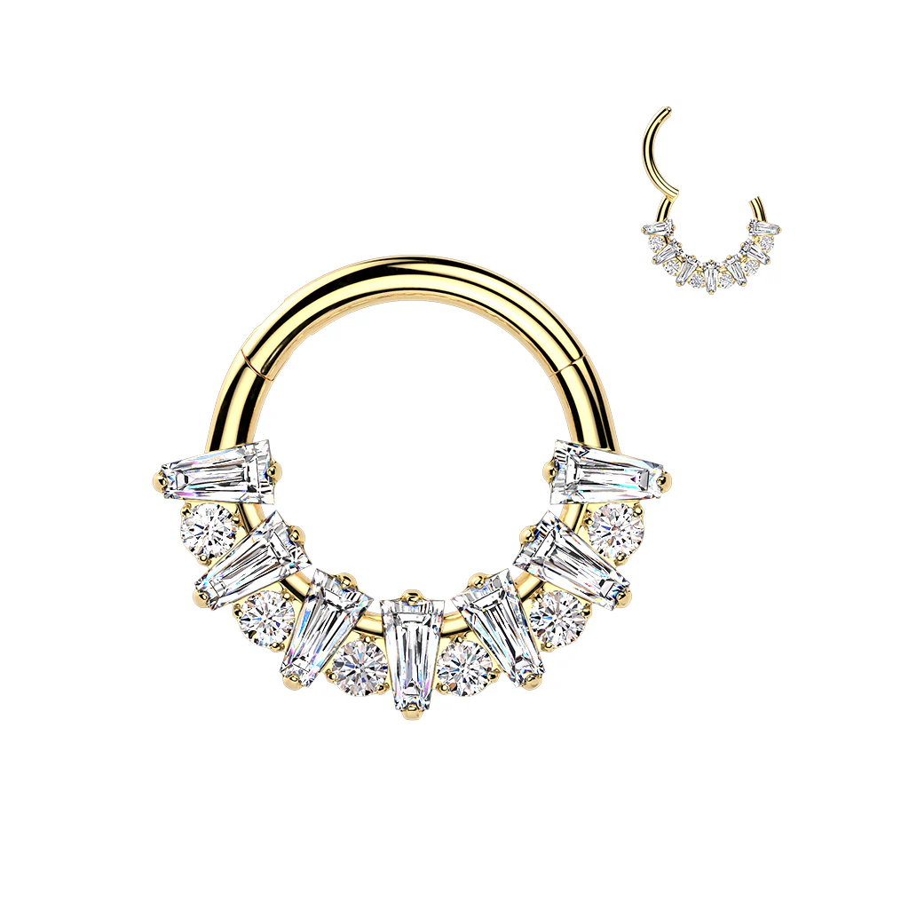 16G 5/16 Clear CZ Gem Implant Grade Titanium Forward Facing Style Fan Hinged Segment Ring - Image 3