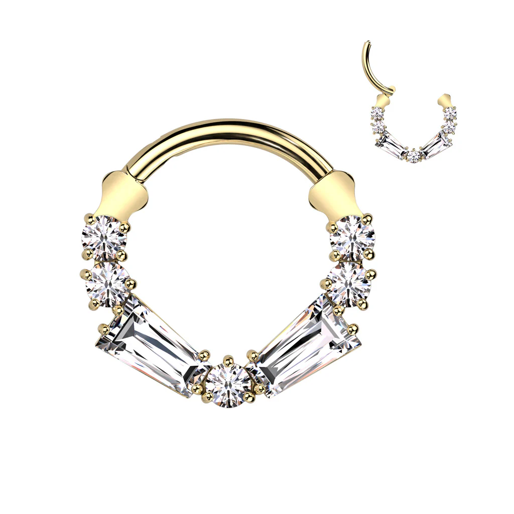 16G 5/16 Implant Grade Titanium Forward Facing Extravagance CZ Hinged Segment Ring - Image 3