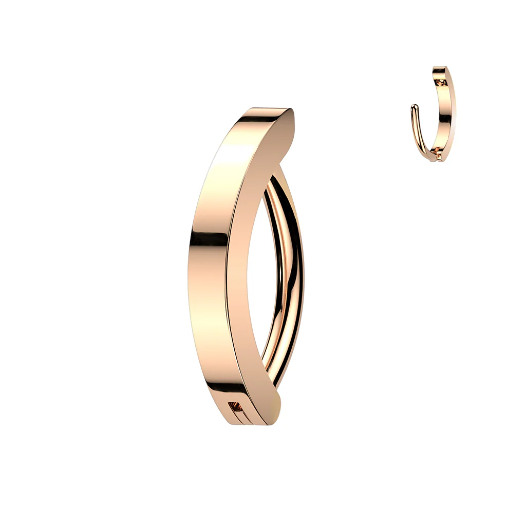 16G 5/16 Implant Grade Titanium Hinged Hoop Eyebrow Ring Cartilage Clicker Earring - Image 4