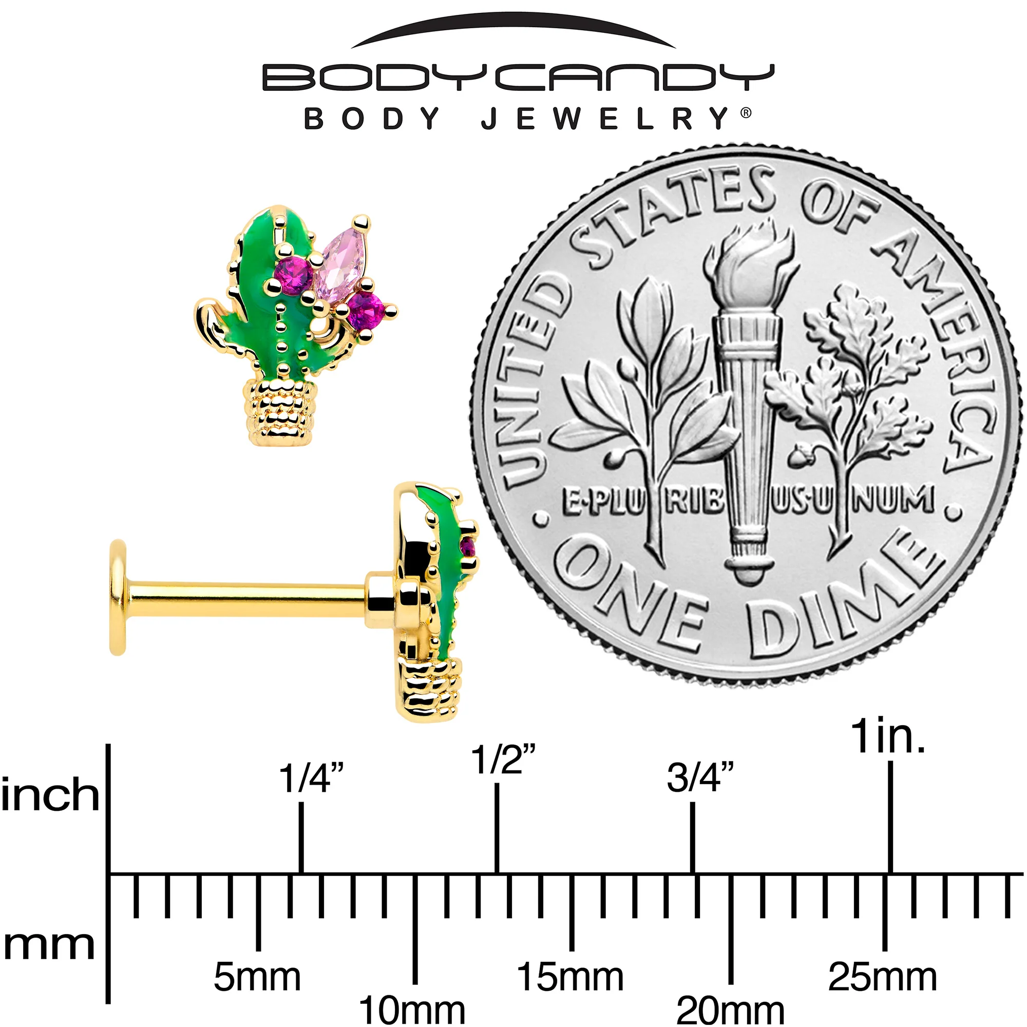 16G 5/16 Pink CZ Gem Gold Tone Floral Cactus Labret Monroe Tragus - Image 5