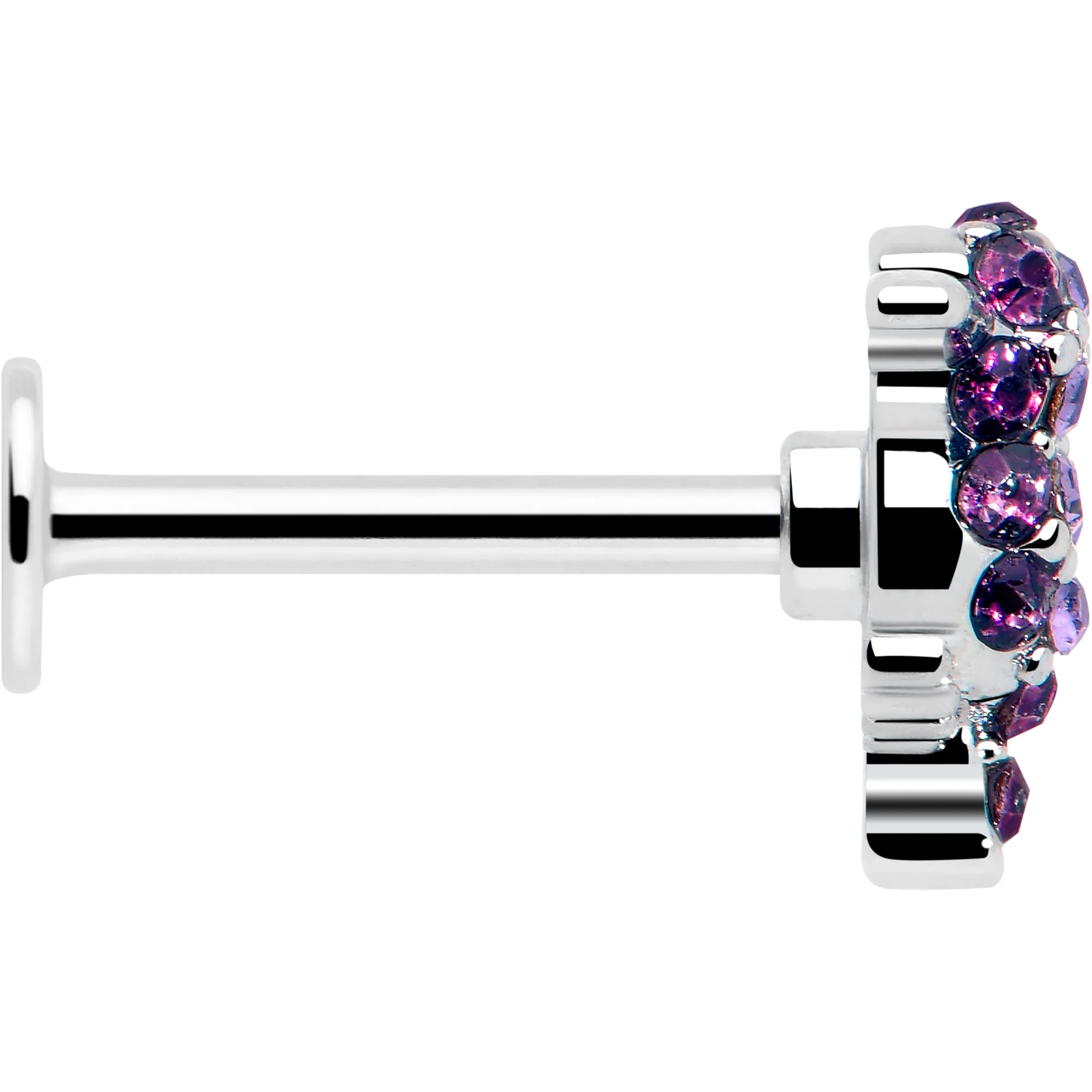 16G 5/16 Purple Gem Hummingbird Flair Labret Monroe Tragus - Image 4