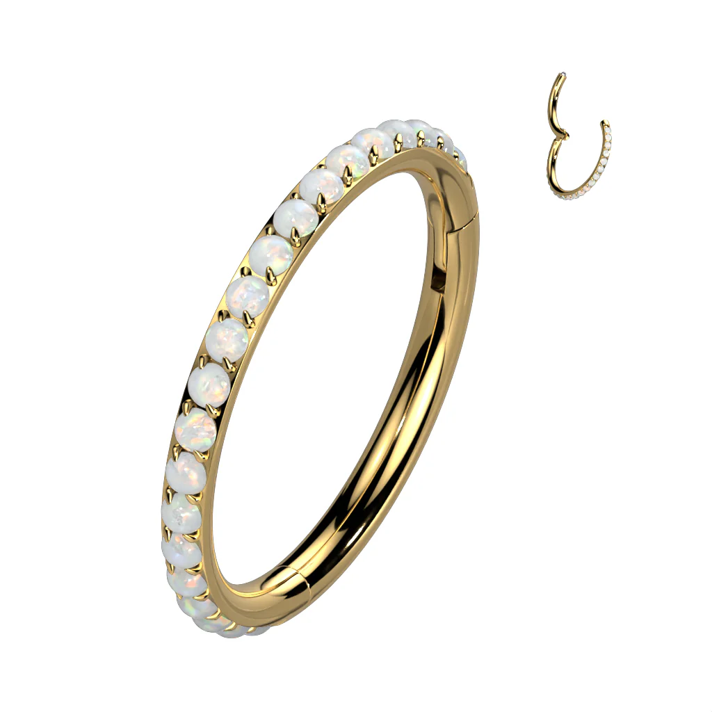 16G 5/16 Implant Grade Titanium Micro Opal Hinged Segment Ring - Image 4