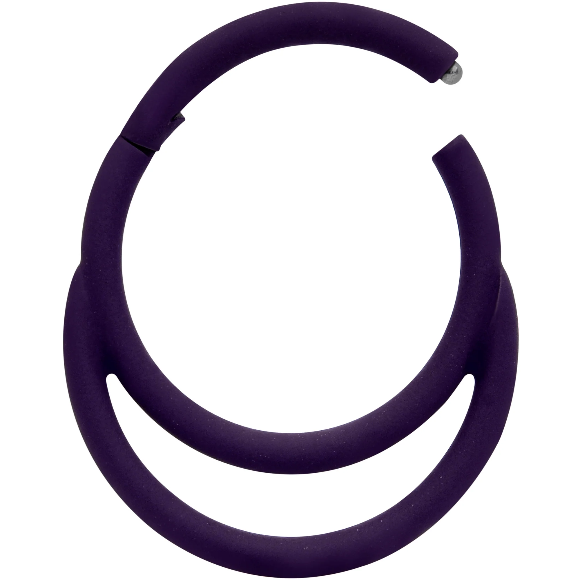 18G 3/8 Dark Purple Matte Double Circle Hinged Segment Ring - Image 2
