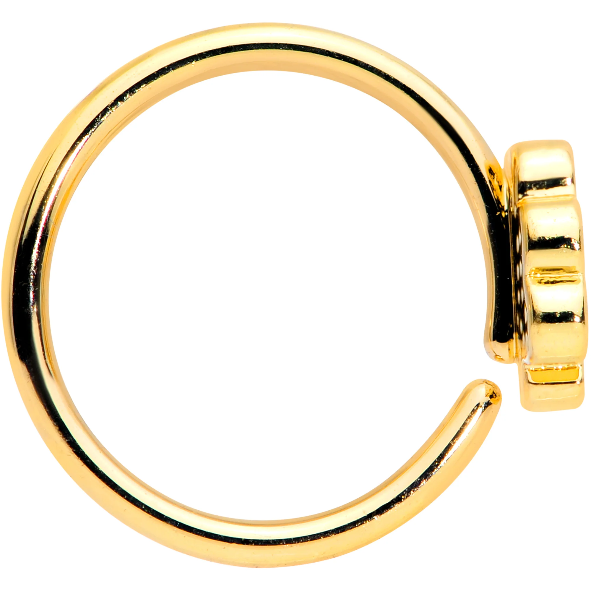 18G 3/8 Gold Tone Turkey Time Thanksgiving Nose Hoop - Image 3