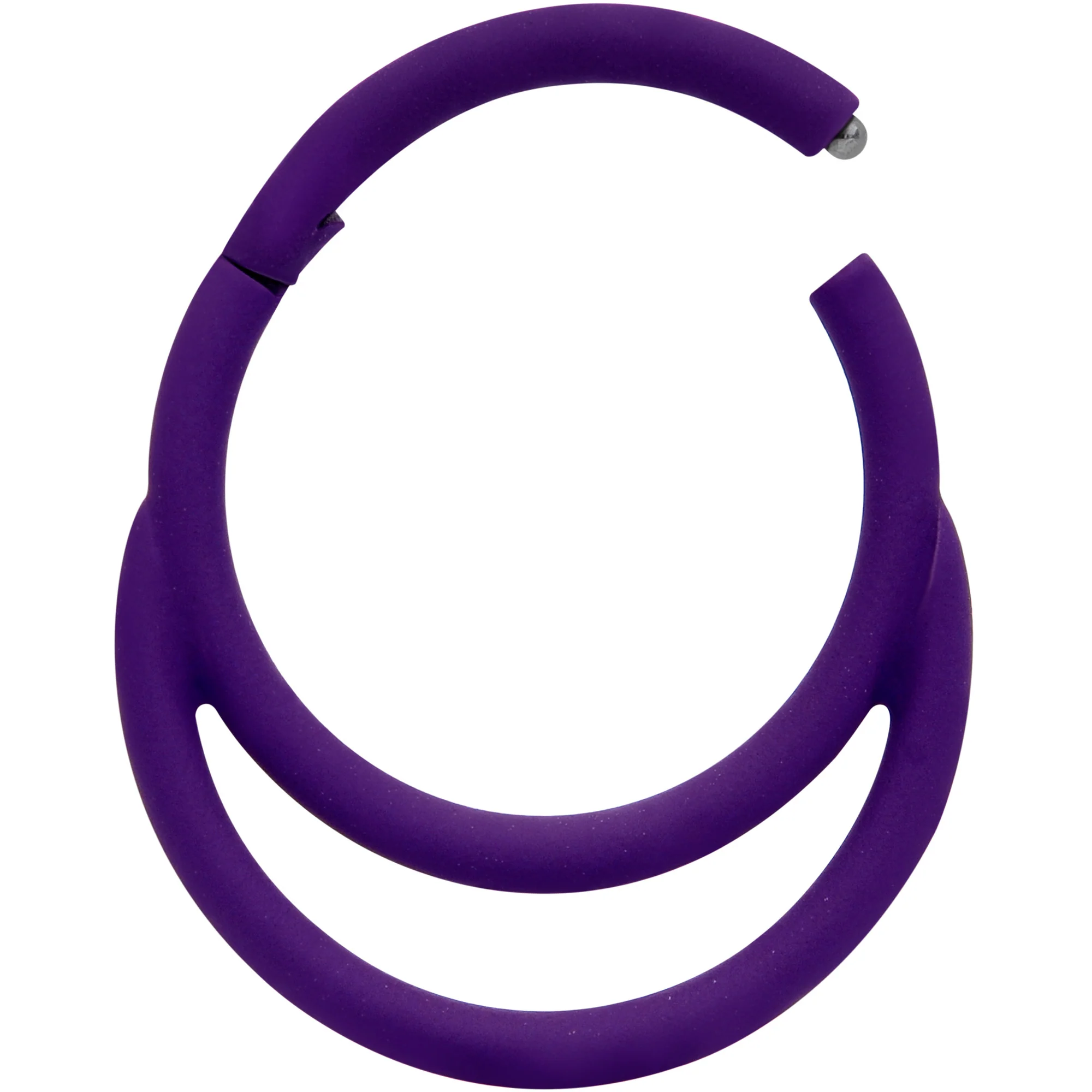 18G 3/8 Purple Matte Double Circle Cartilage Hinged Segment Ring - Image 2