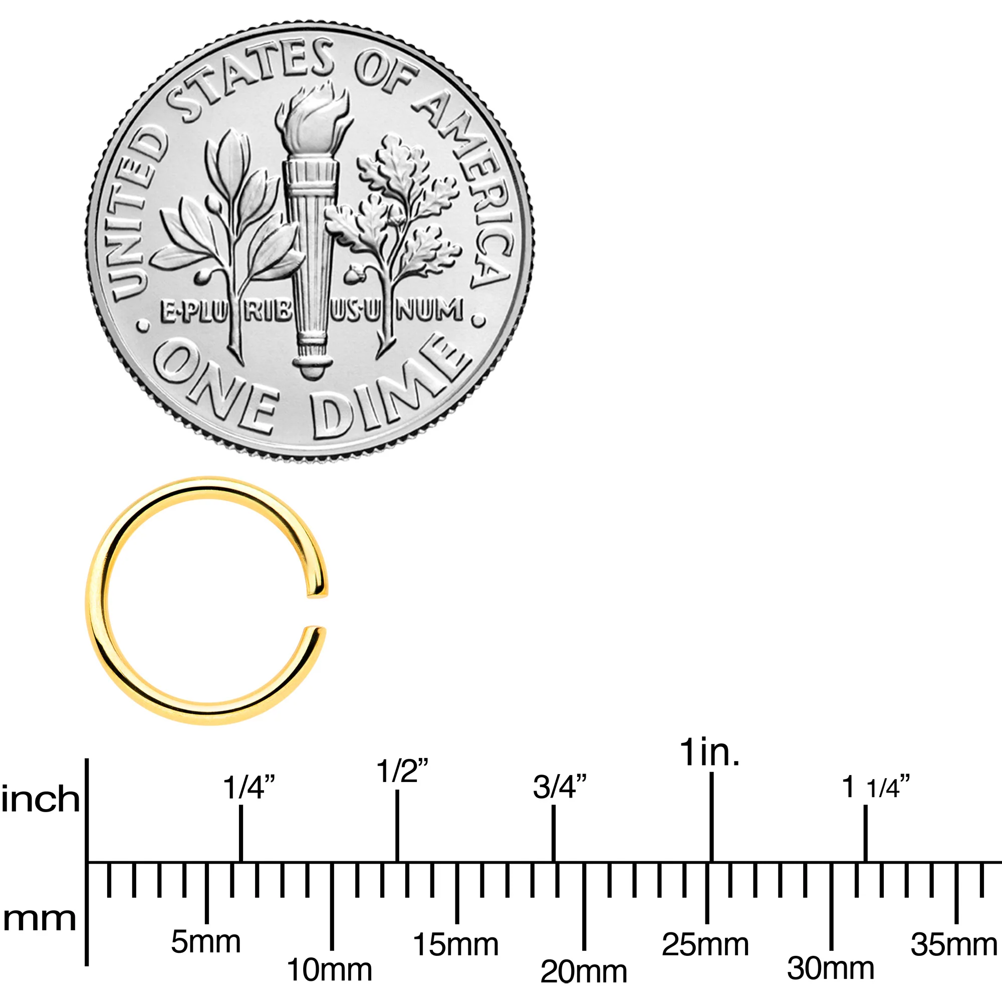 18G 5/16 Gold Tone Anodized Seamless Circular Ring Set of 12 - Image 3