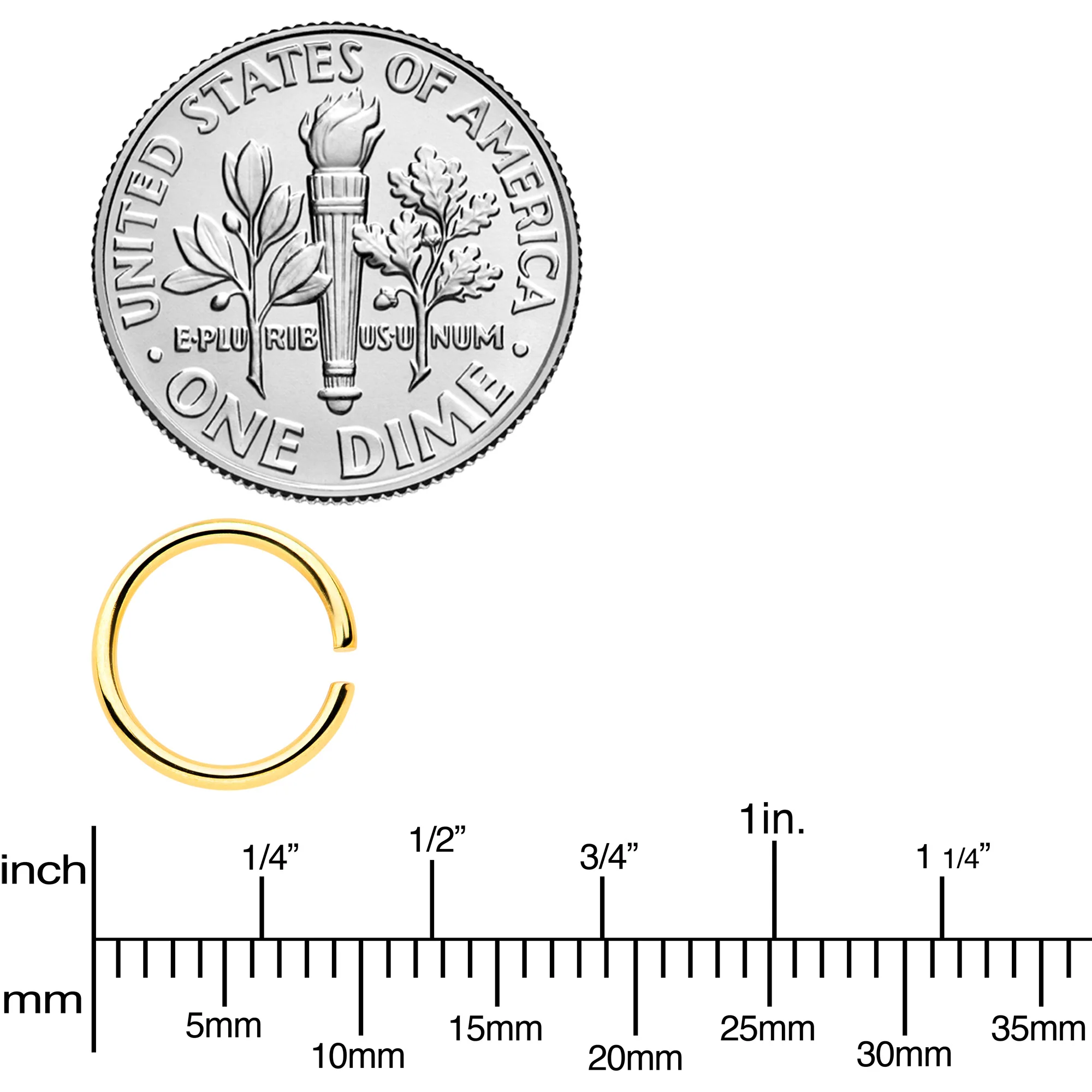 18G 5/16 Gold Tone Rose Gold Tone Anodized Seamless Circular Ring Set of 12 - Image 3