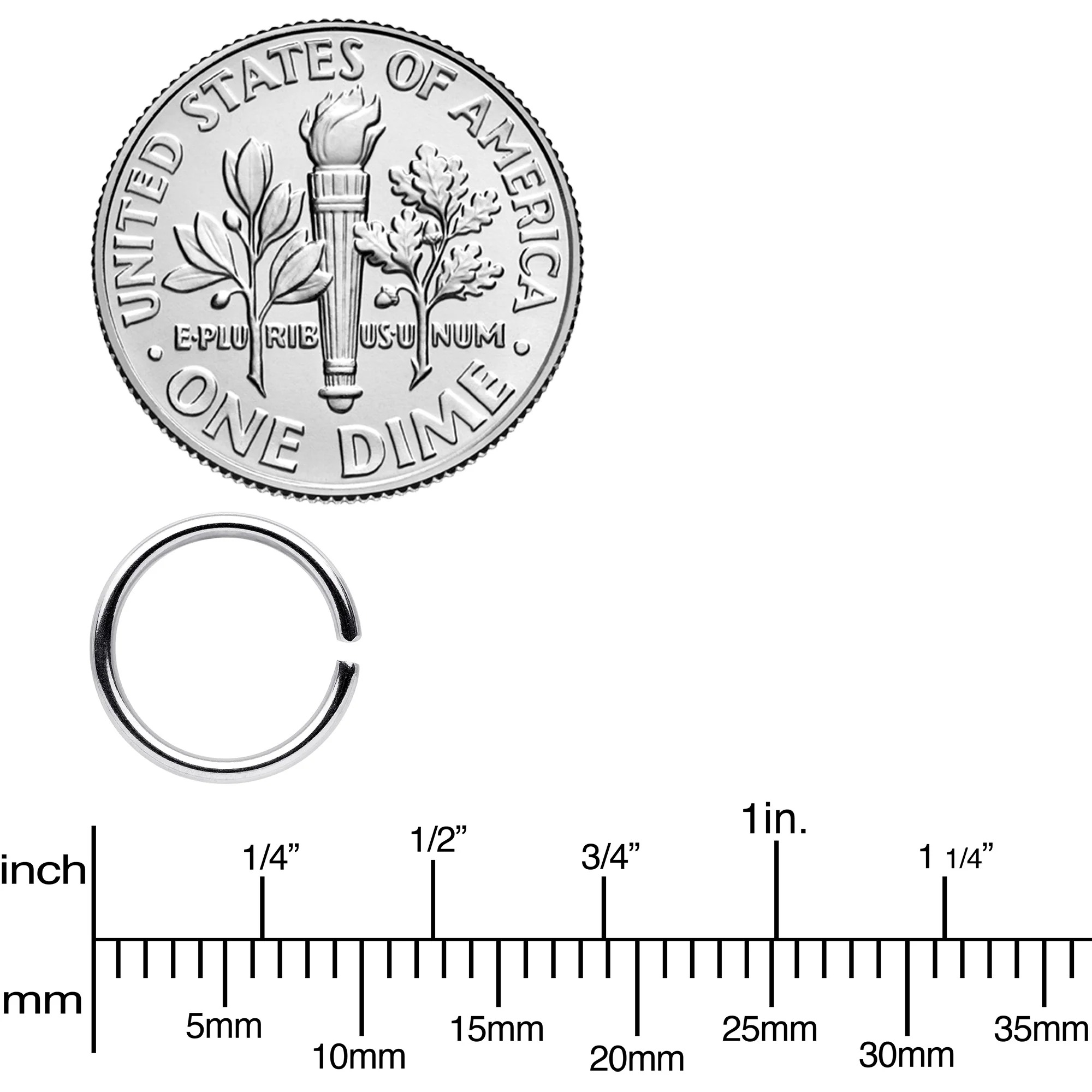 18G 5/16 Seamless Circular Ring Set of 12 - Image 3