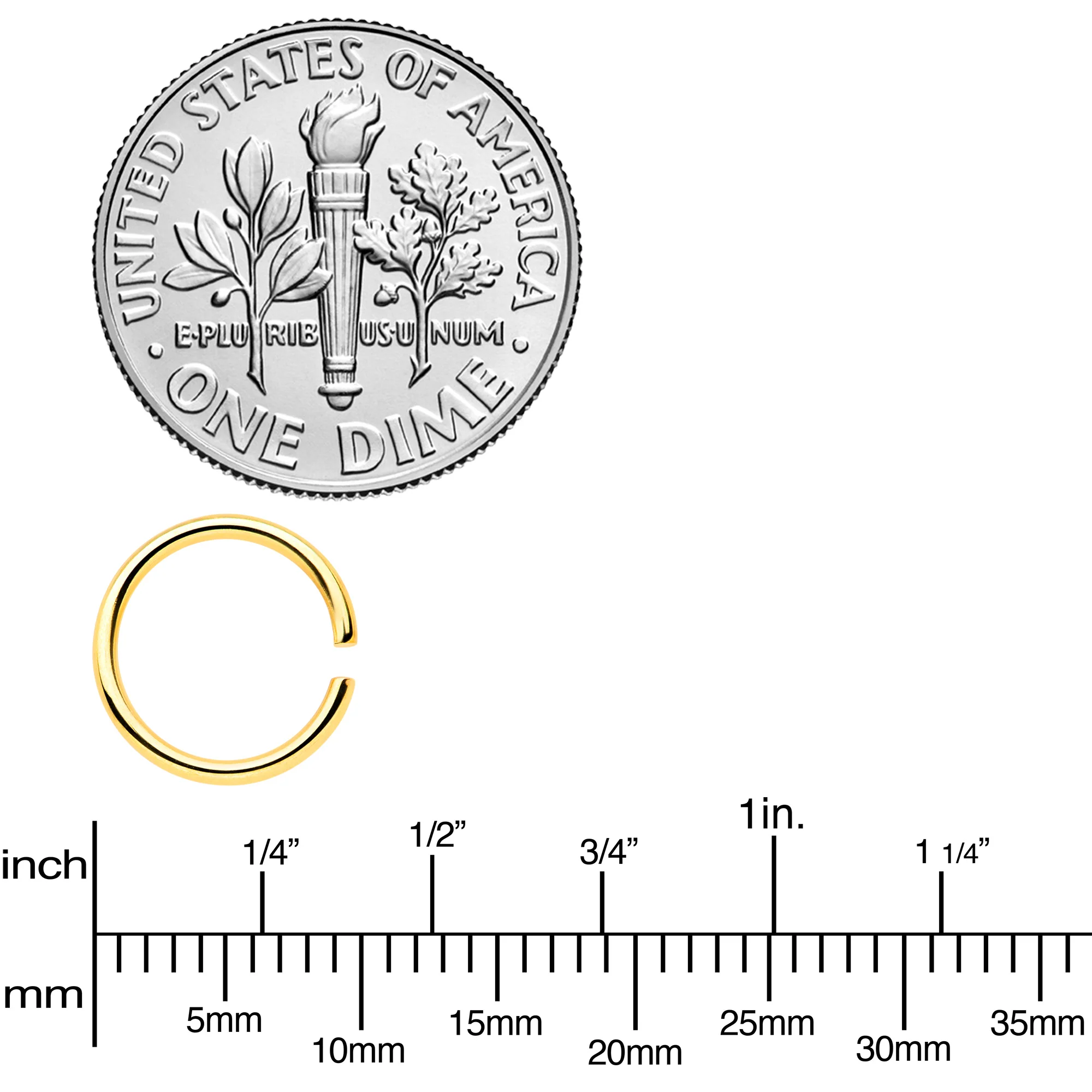 18G 5/16 Steel Gold Tone Anodized Seamless Circular Ring Set of 12 - Image 3